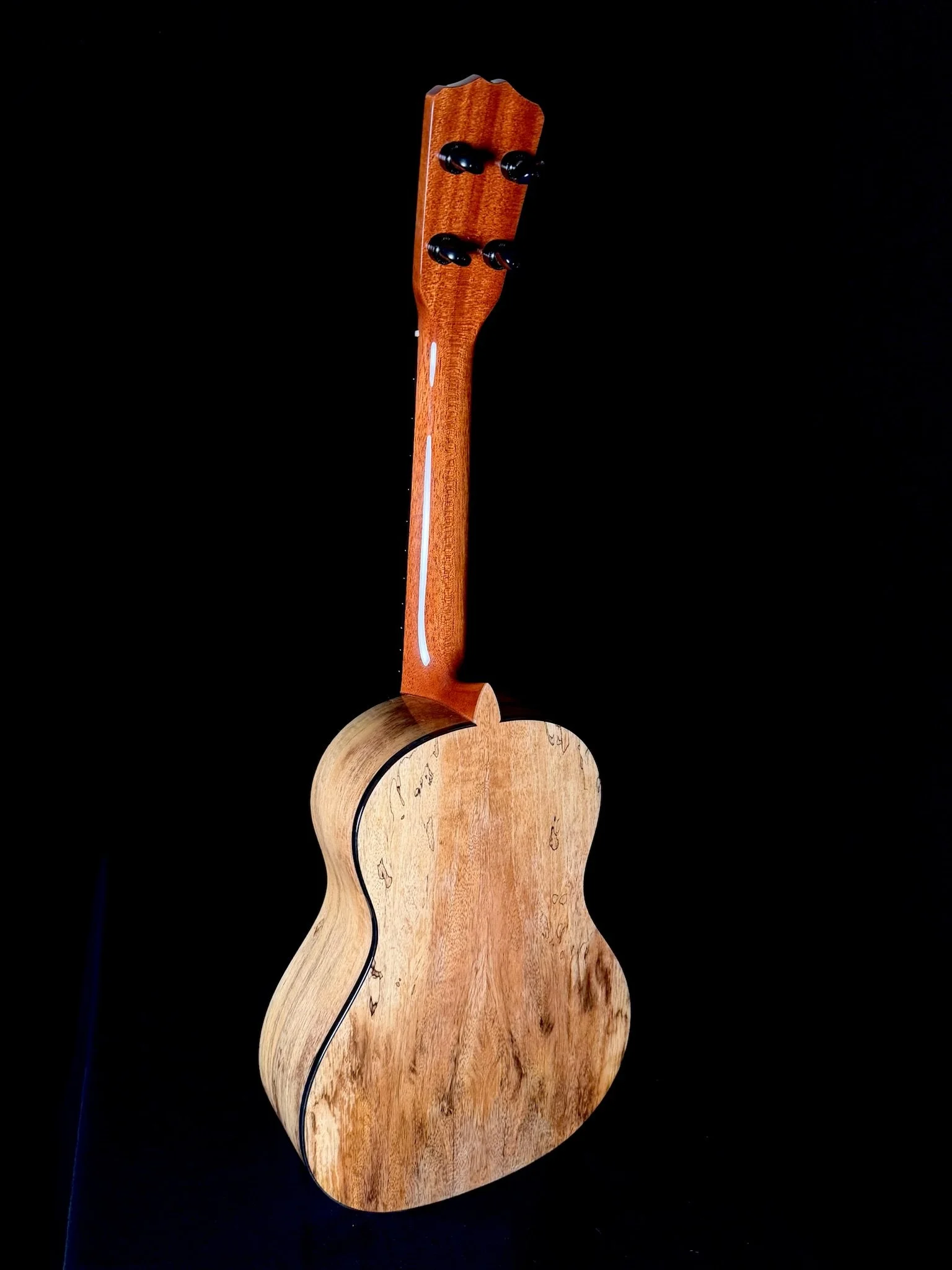81 SigTenor MG 24001 back.jpg