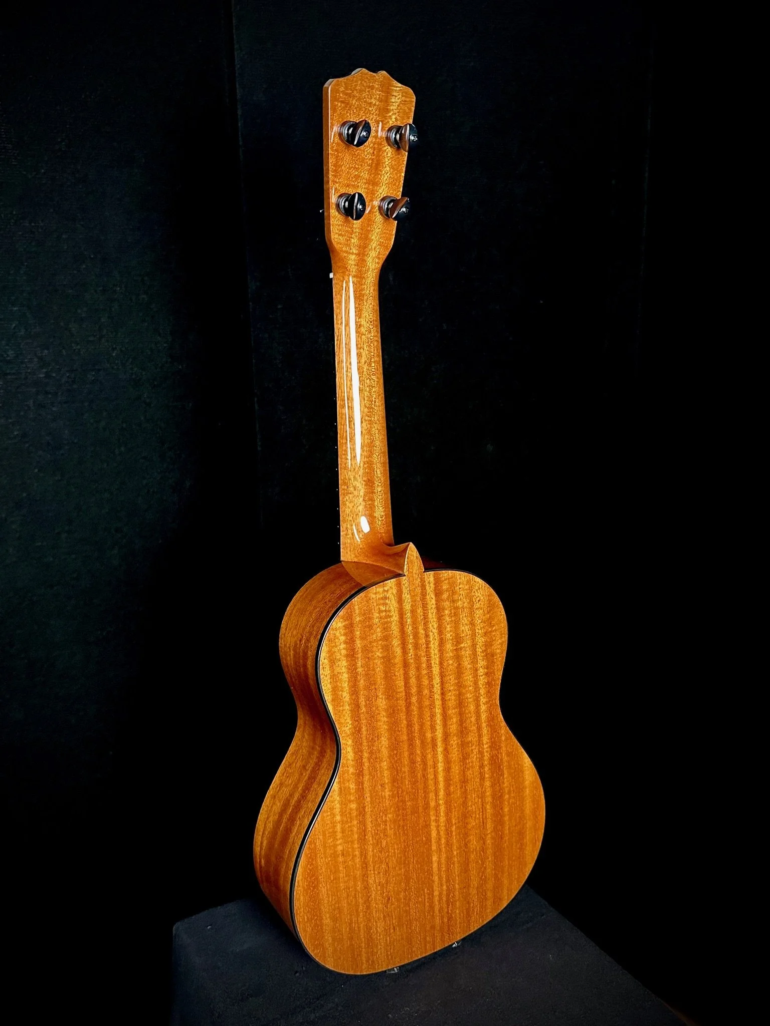 ST Spruce Mahogany 23006 ba.jpg