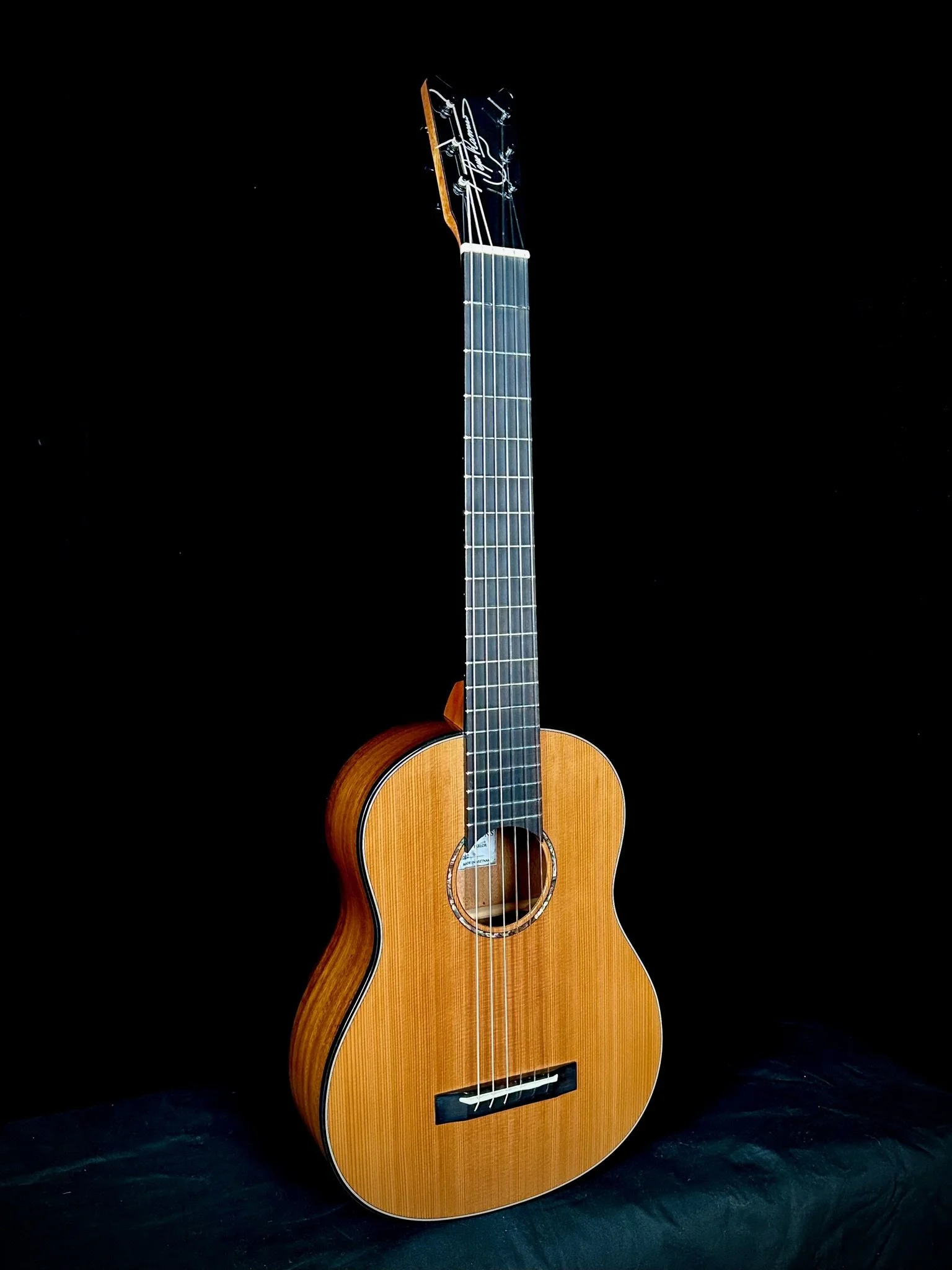 Parlor 6string Cedar:Phoenix 25002 fr.jpg