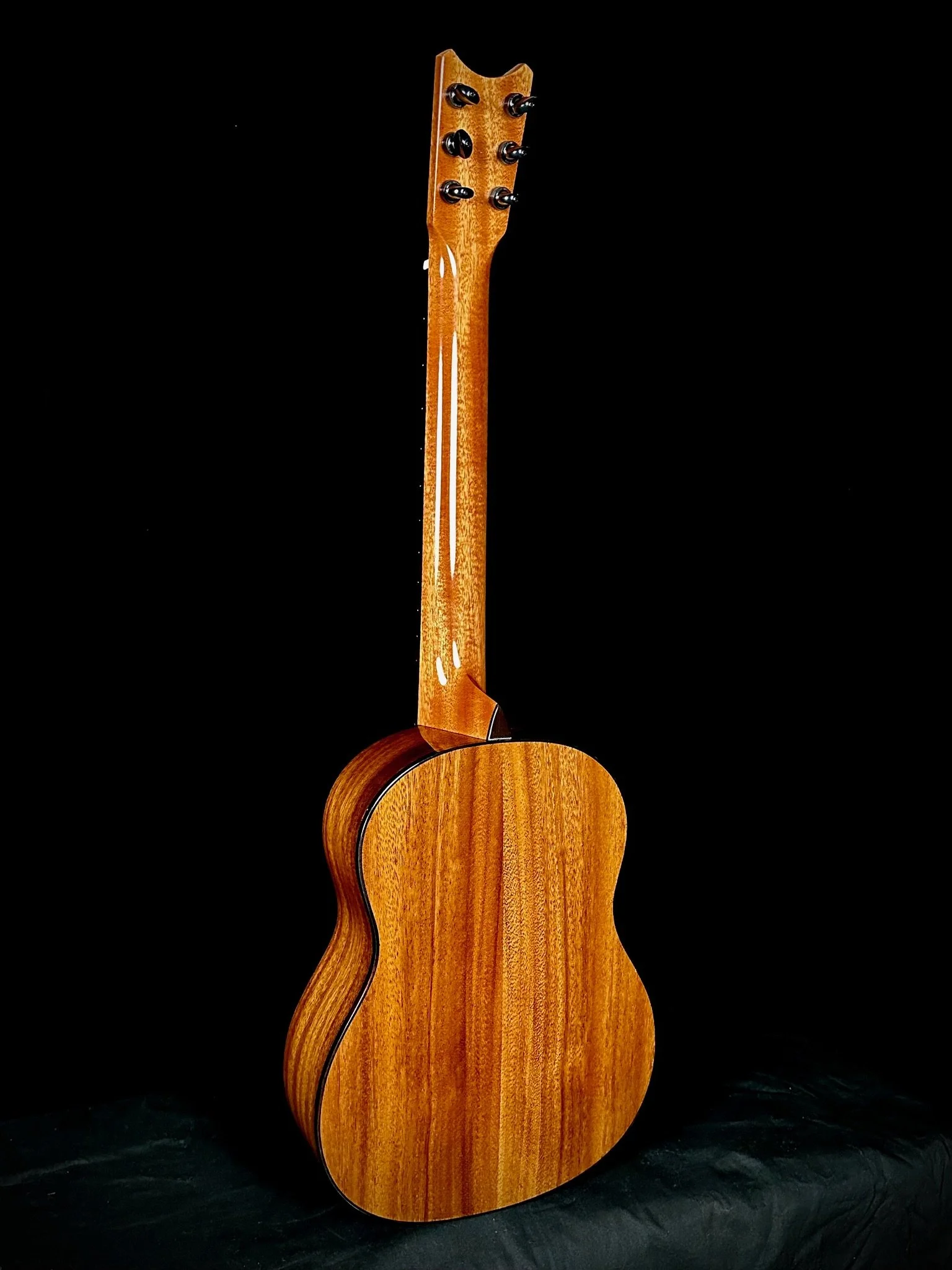Parlor 6string Cedar:Phoenix 25002 ba.jpg