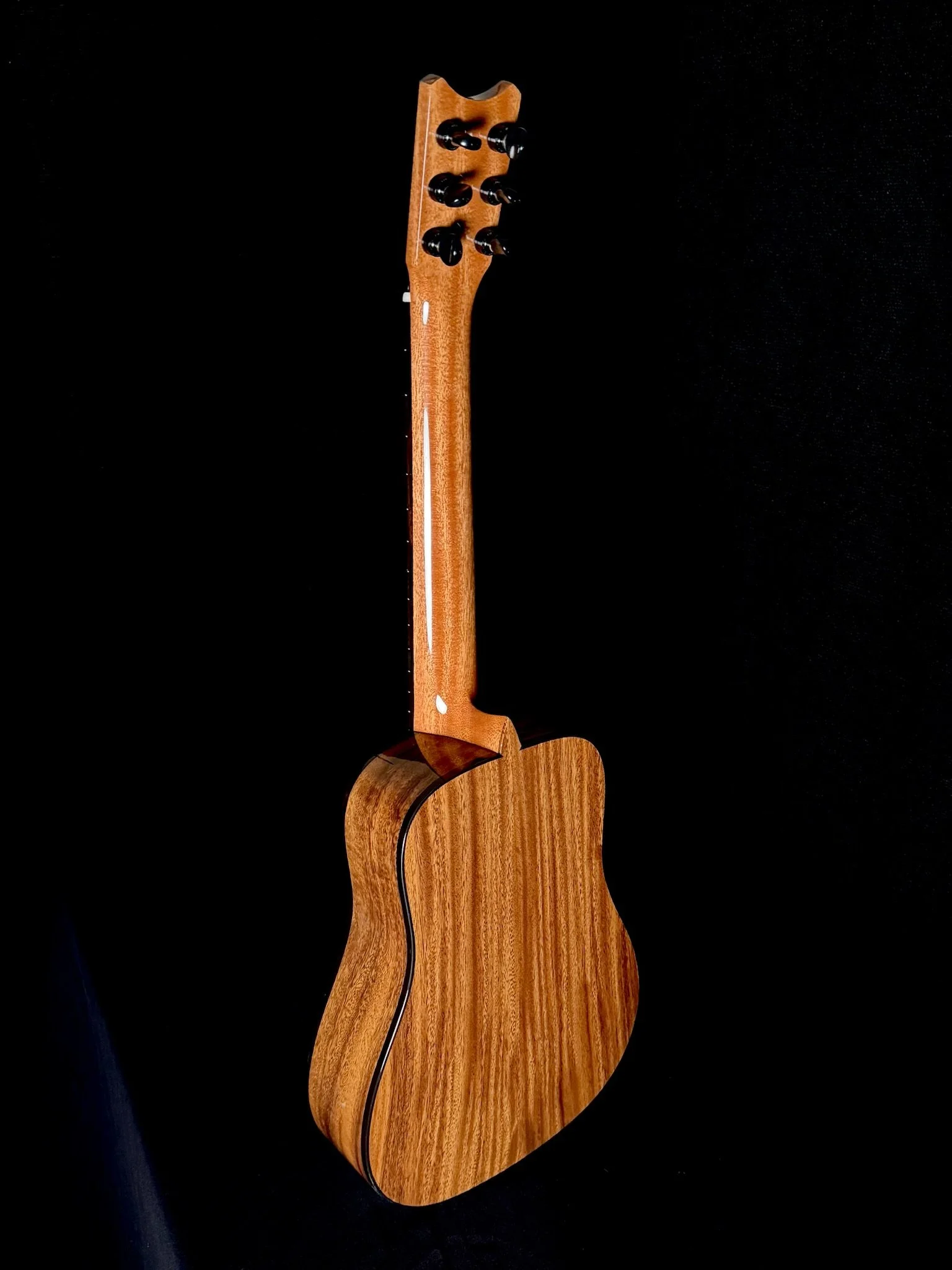 78 DHo6 D SP 25004 back.jpg