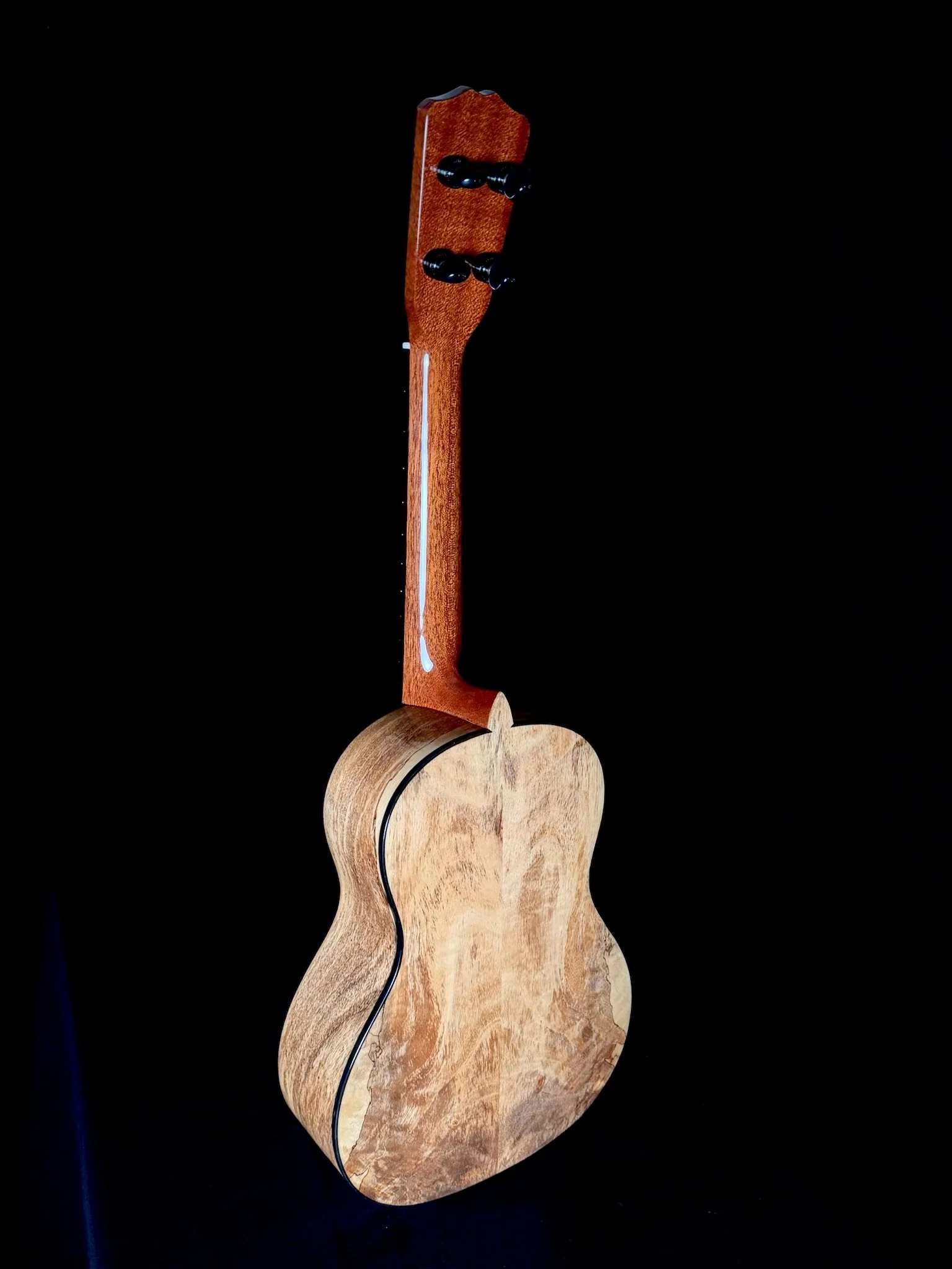 80 SigTenor MG 24007 back.jpg