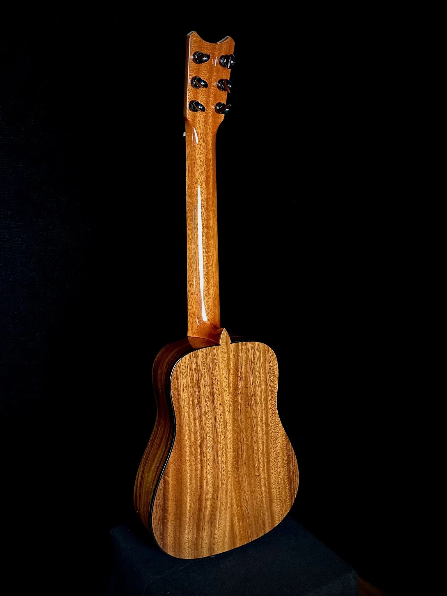 DHo6 Dre Spruce:Phoenix 24001 ba.jpg