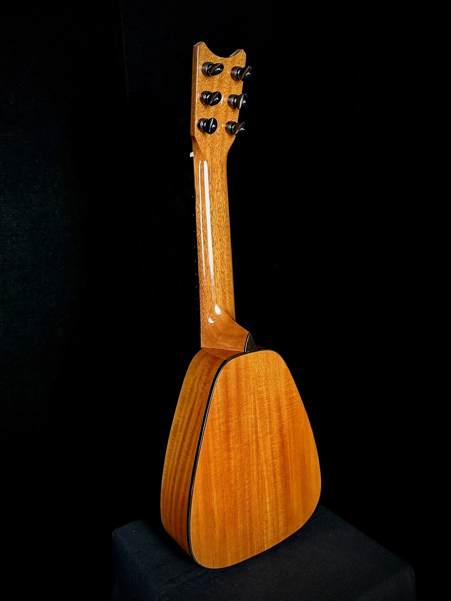 TT6 Spruce:Mahogany 23002 ba.jpg