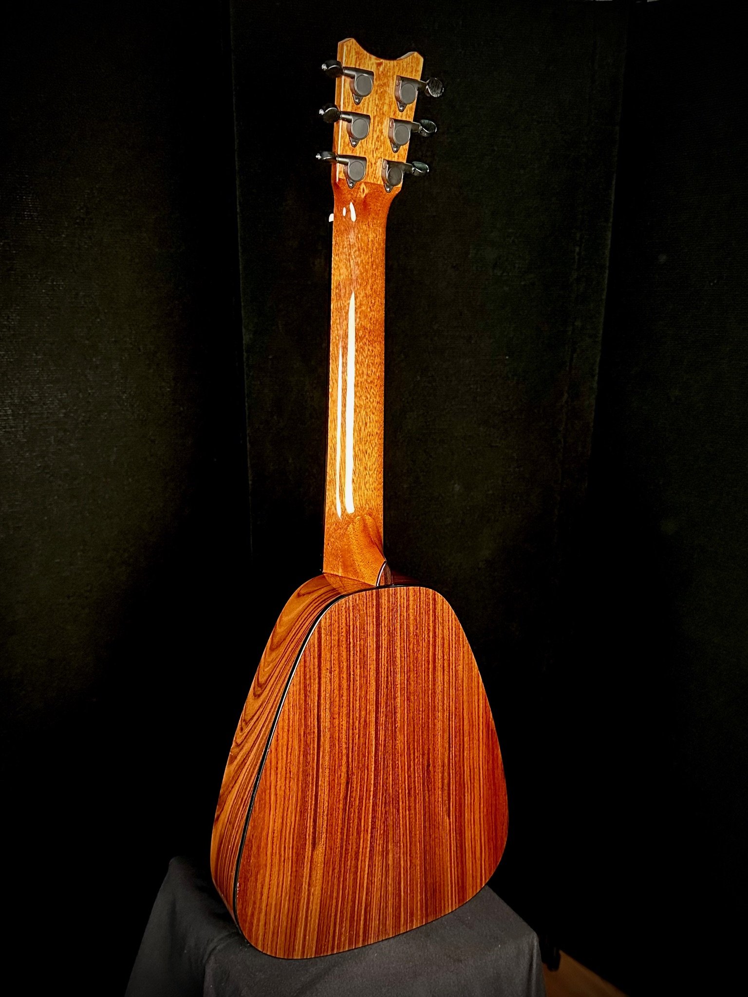 DHo6V Spruce:Pau Ferro 24013 ba.jpg