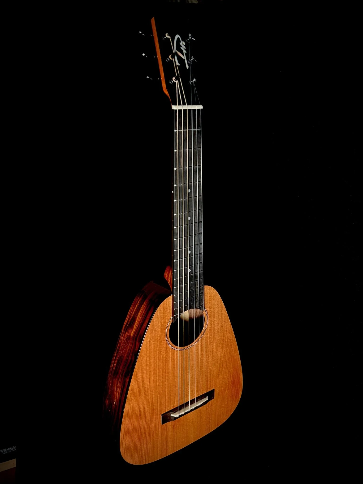 D Ho 6-String Vibrante Cedar/Pau Ferro 24011