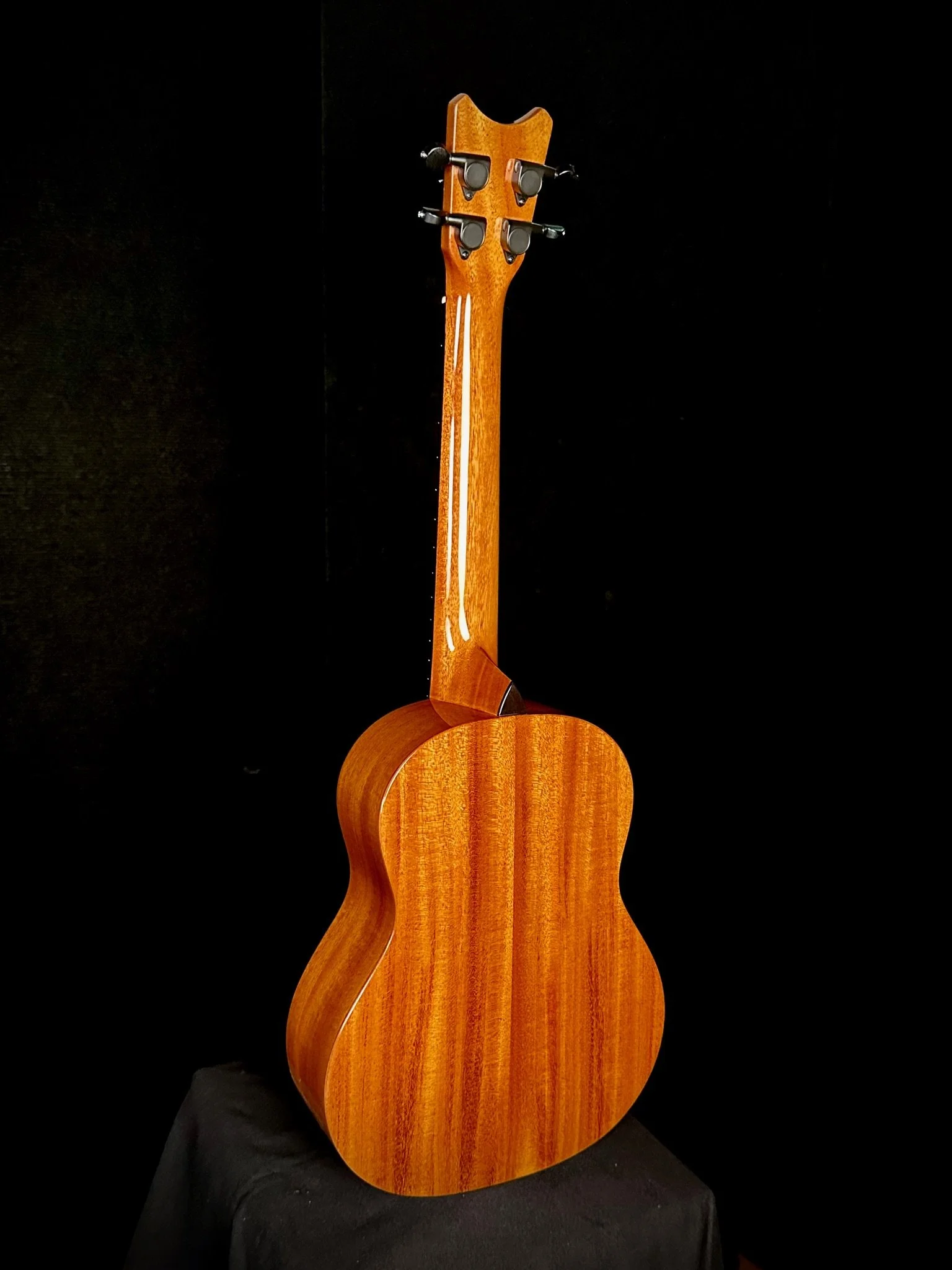 GT Mahogany 23015 ba.jpg