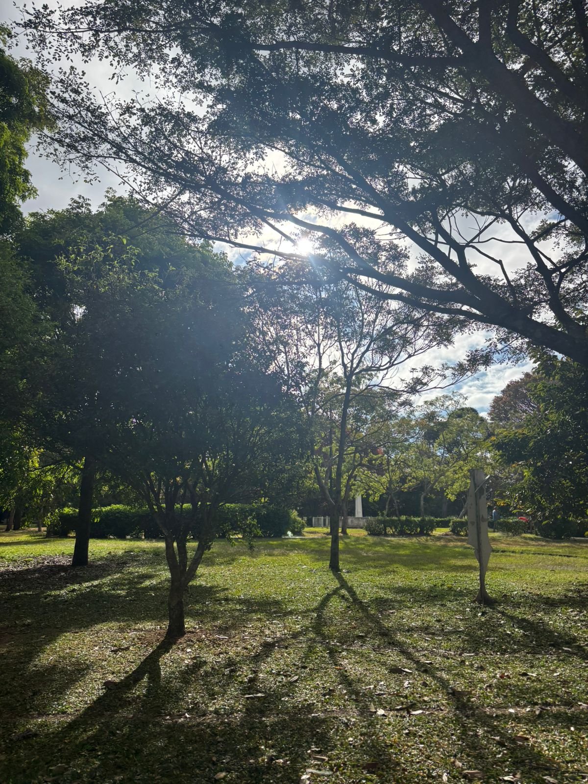 WhatsApp Image 2026-03-05 at 10.42.32 PM (3).jpeg