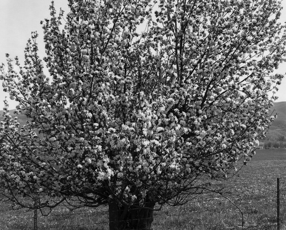 Near Heber City, Utah, 1978