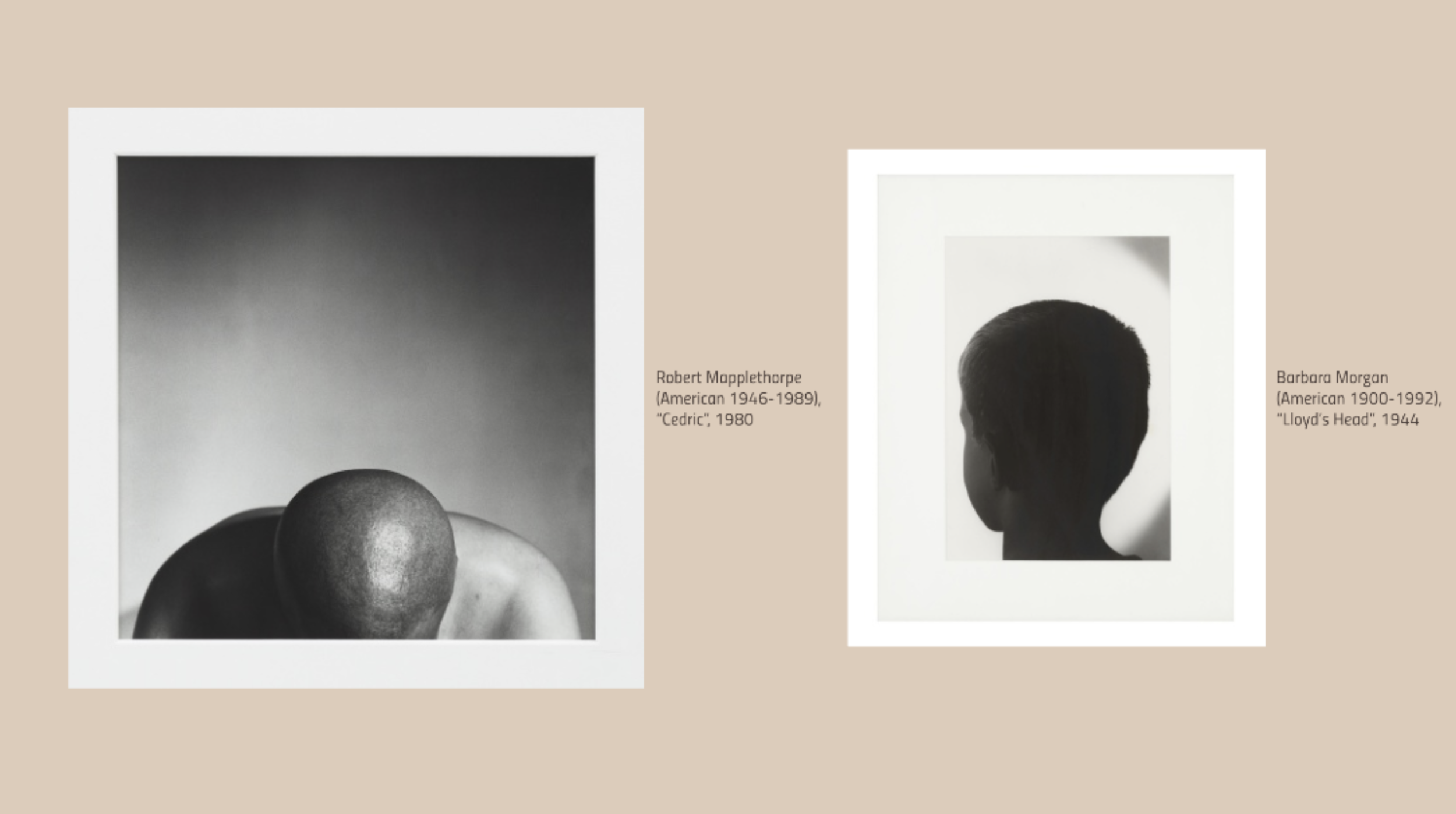 Screen Shot 2023-02-07 at 3.09.01 PM.png