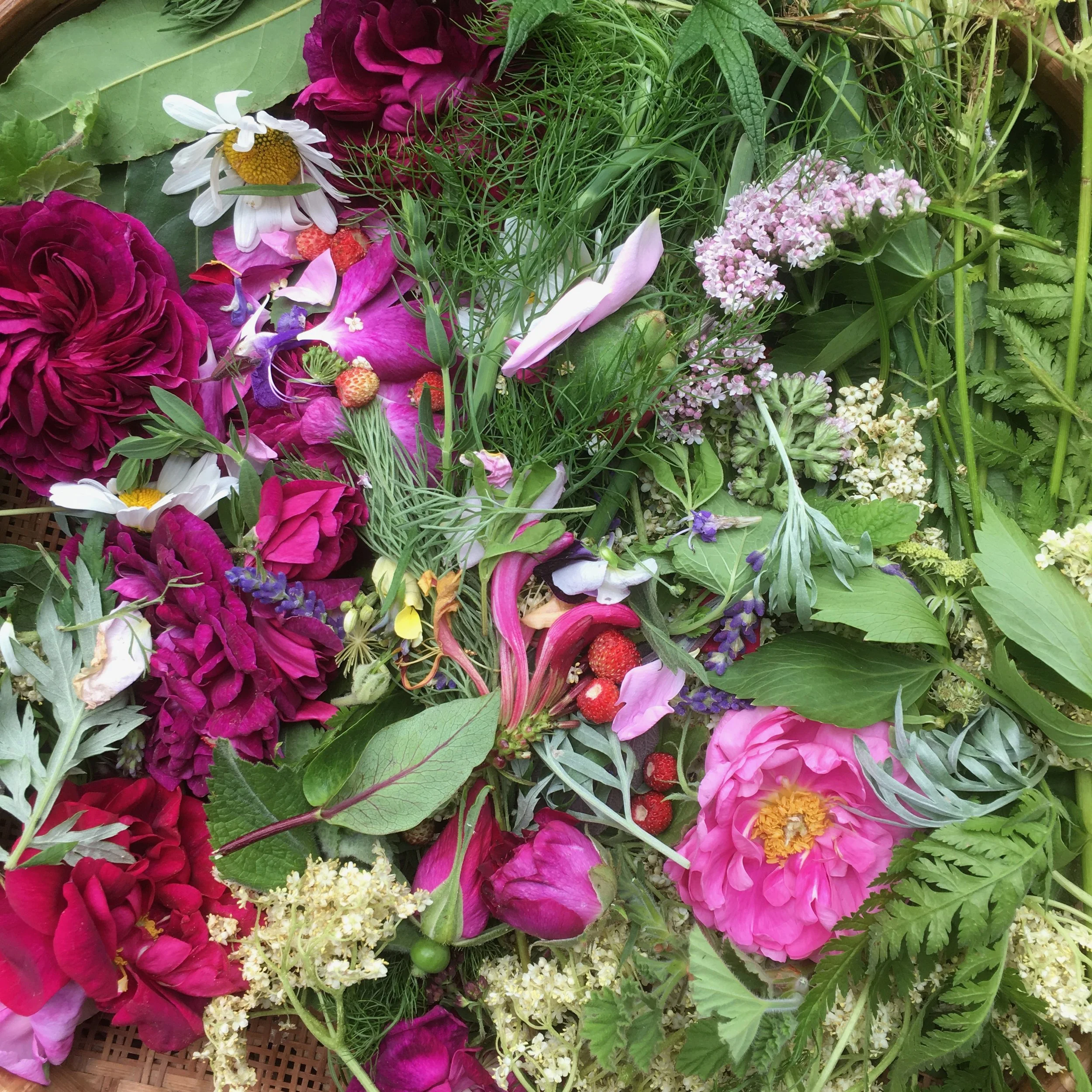 The Art of Natural Perfumery - 15th - 16th Feb 2025