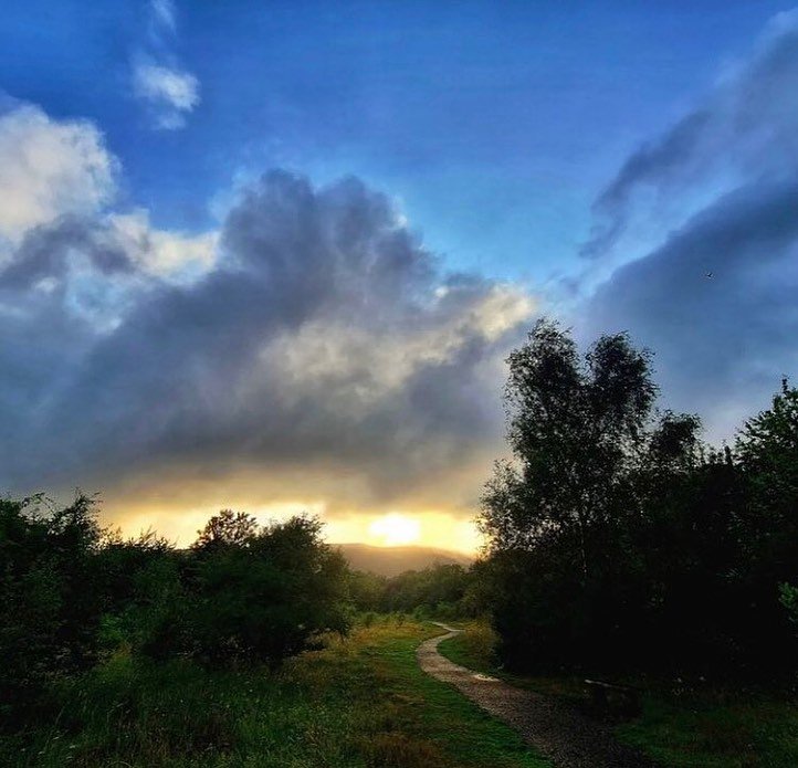 Herb walk near Malvern - If you&rsquo;d like to learn more about identifying herbs, and other wild plants , and how to work with them while ambling in the twilight on a nature reserve for a couple hours, do contact me to book - May 1st, 6-8pm &pound;