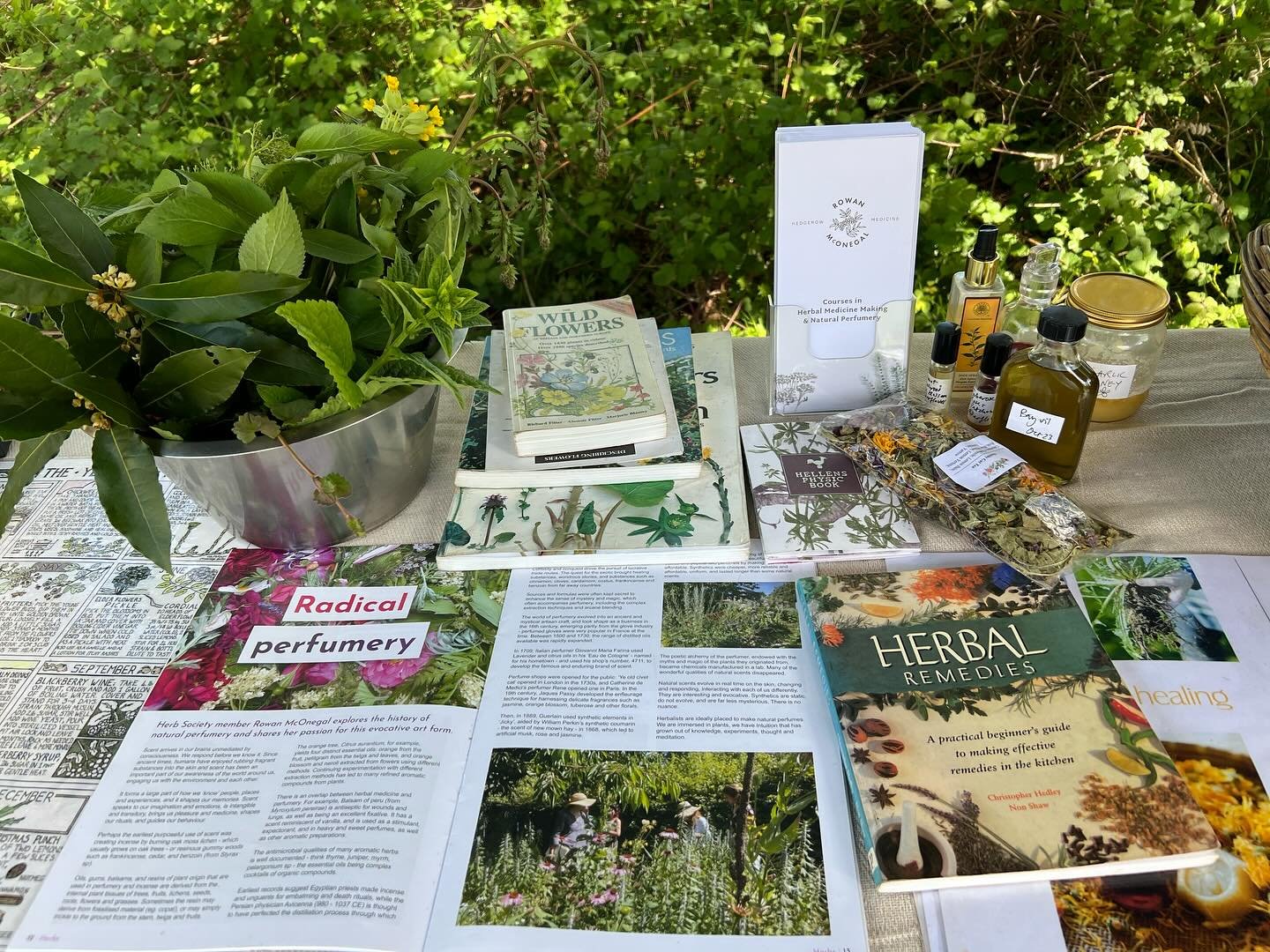 Lovely day at Monmouth Wye Valley River Festival - wonderful parade with the River Goddesses, No Fit State circus performance, lots of activities and songs, and Liz knight and I being plantaholics together @foragefinefoods #herblovers #foragers #gath