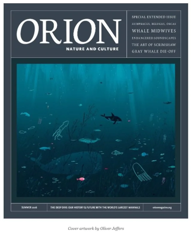 I have a new essay, The Other Endurance: On Whaling, Women, and the Voices That Remain, in the Summer 2026 issue of Orion. Releasing online July 6, this essay (an excerpt from my forthcoming book) explores whaling practices on South Georgia Island, w