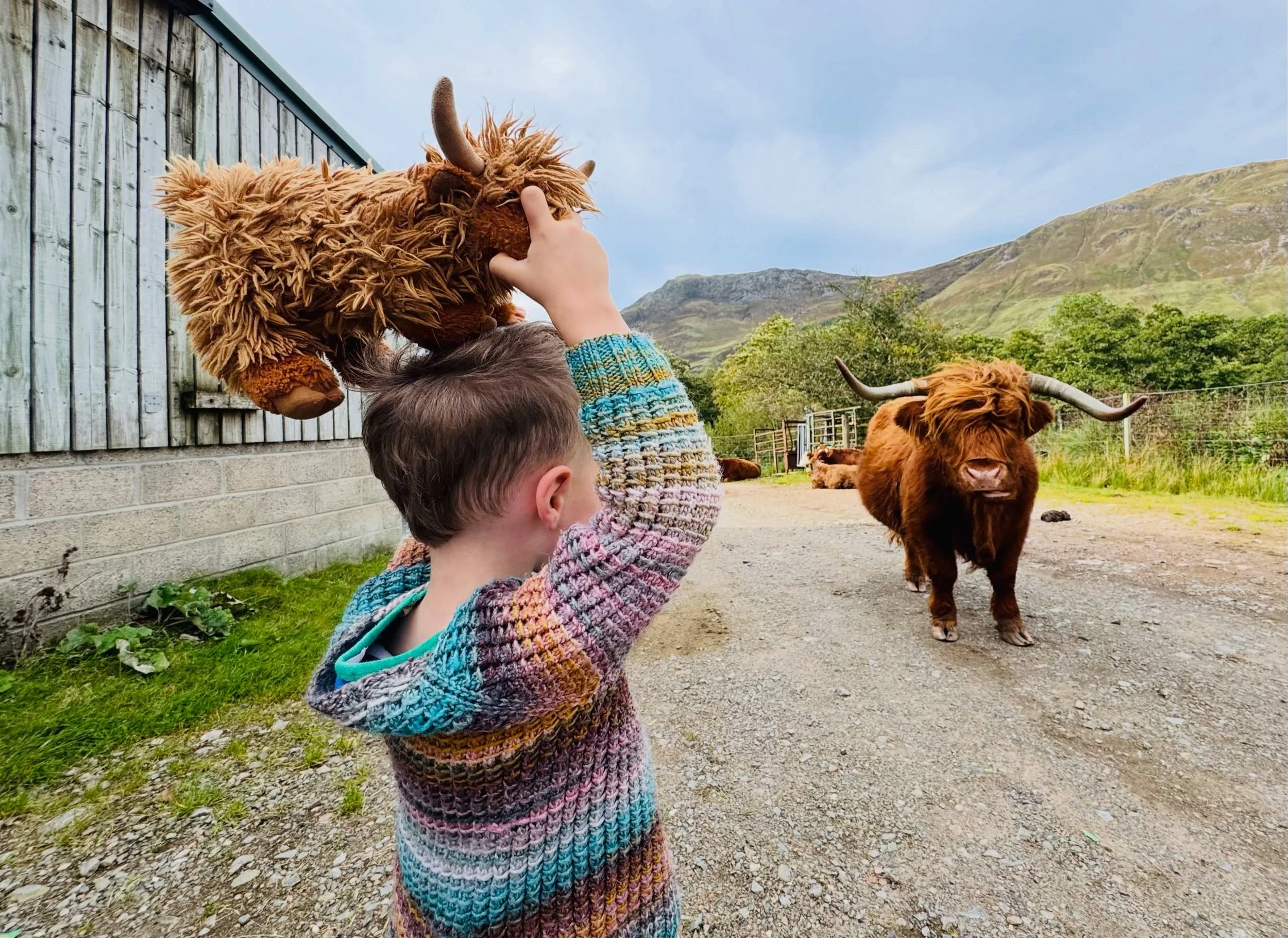 And so on this day was a quest long held by my son fullfilled, whereas his treasured stuffie Mr. Moo traveled to Scotland to meet his bovine family&mdash; the original Mr. Moo, the noblest of Highland Coos.
.
Let me know if you have a message I can p
