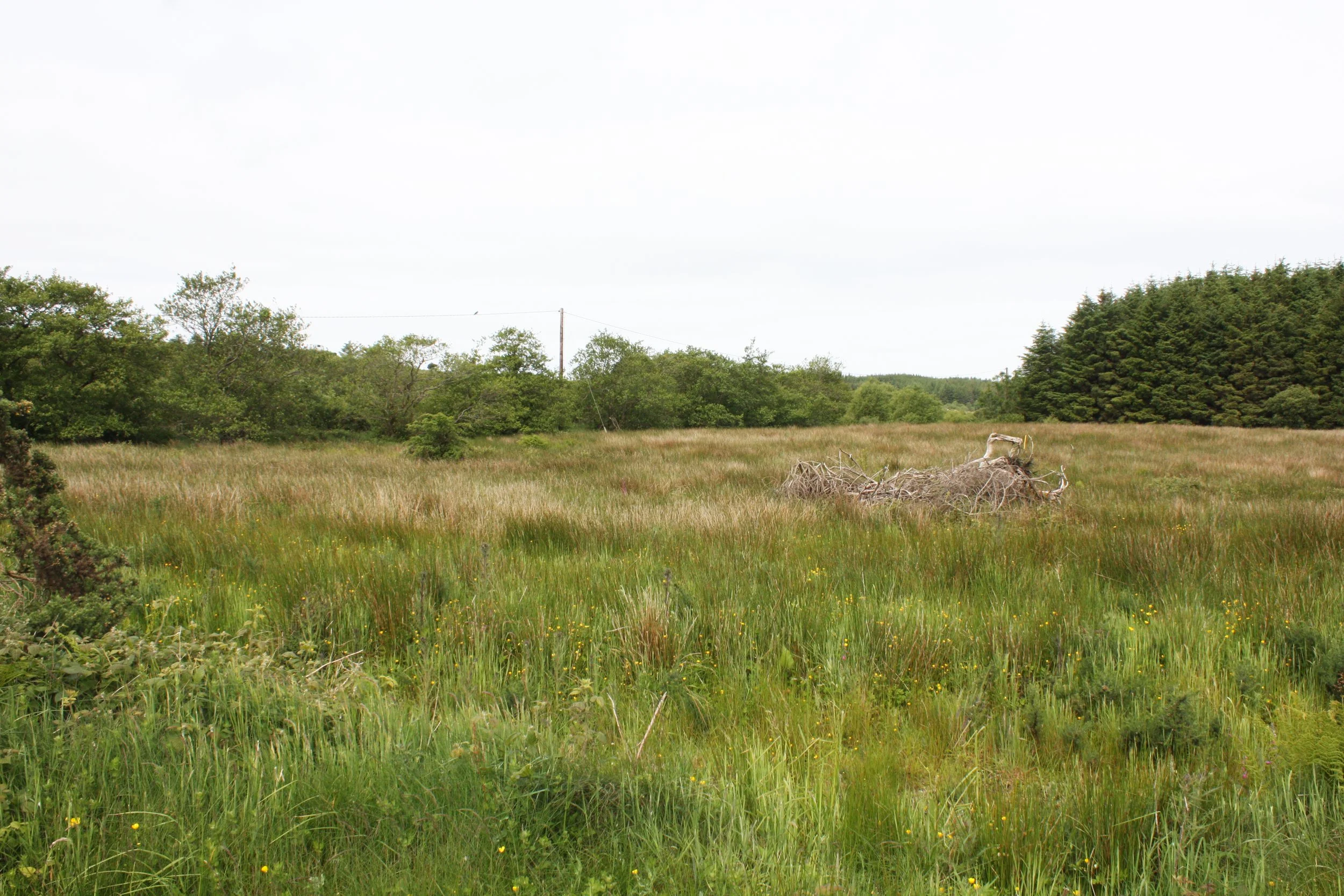 Meenarory, Buncrana, Co. Donegal