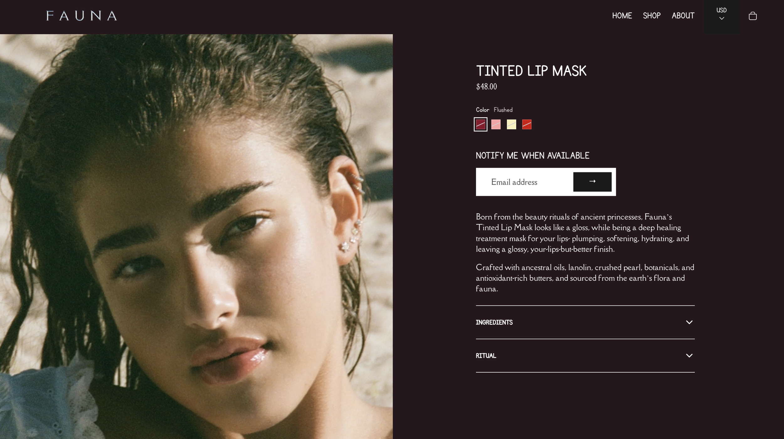 Screen Shot 2026-03-01 at 2.08.53 PM.png