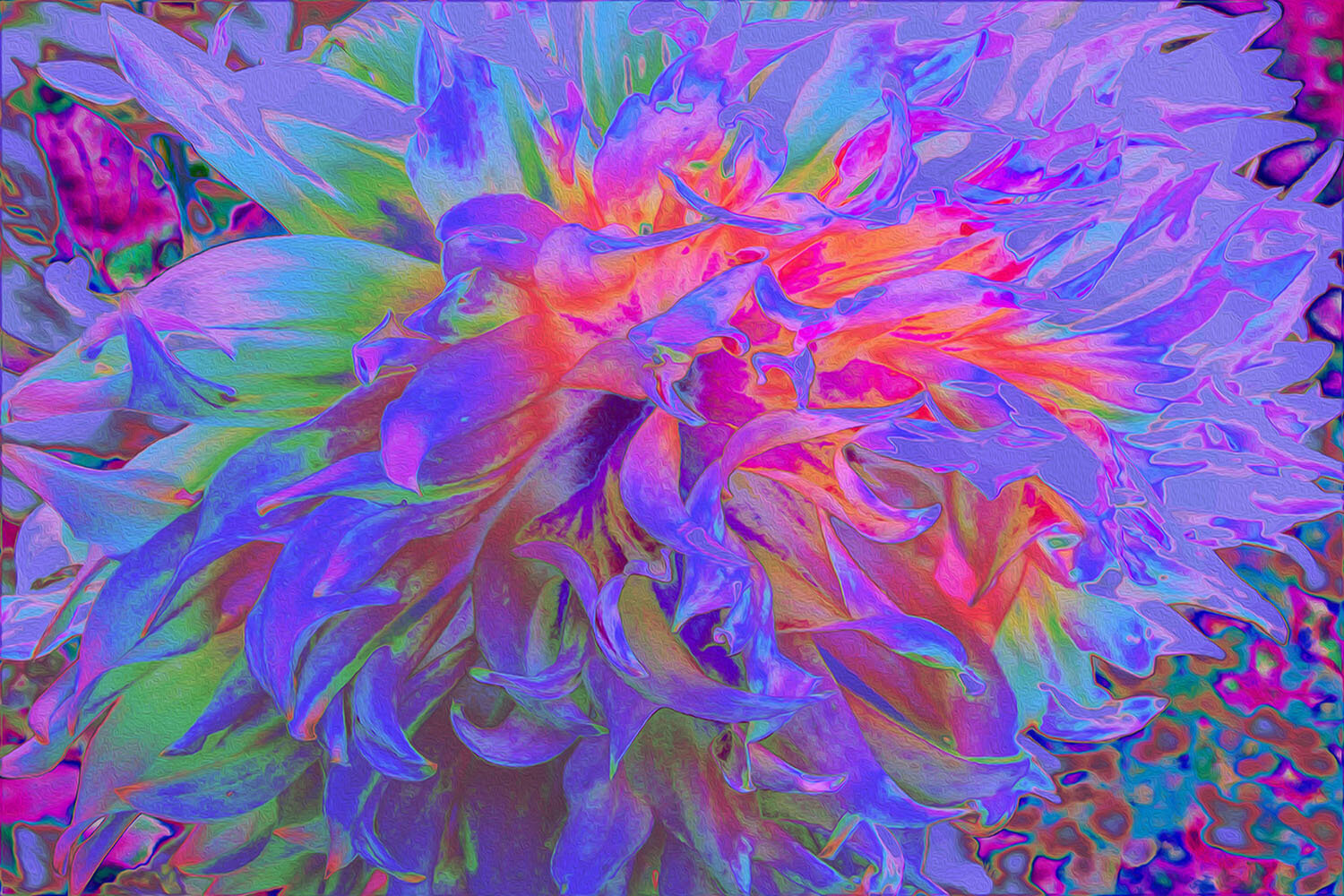 Elegant Psychedelic Decorative Dahlia Flower