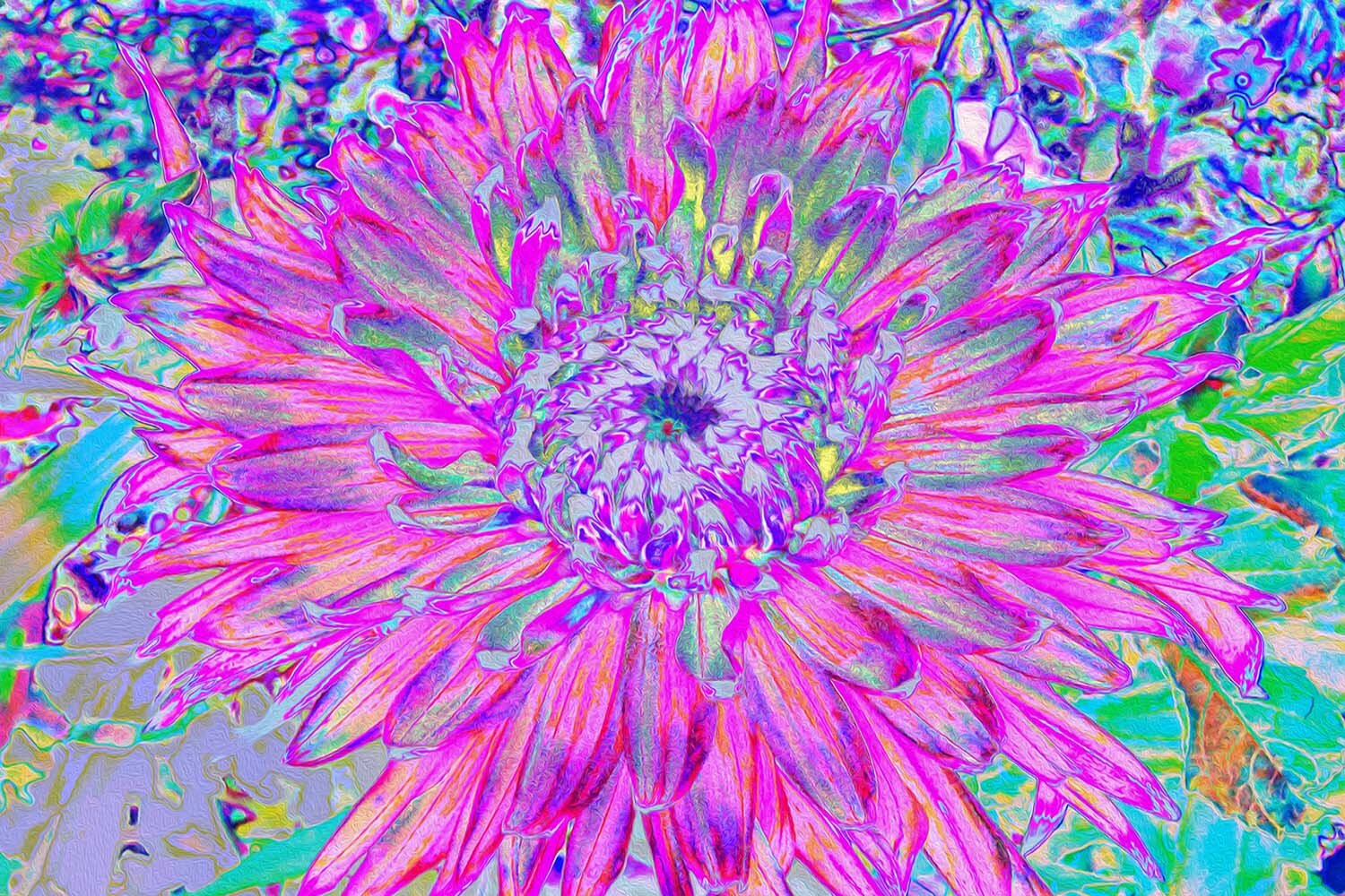 Cool Pink, Blue and Purple Cactus Dahlia Explosion
