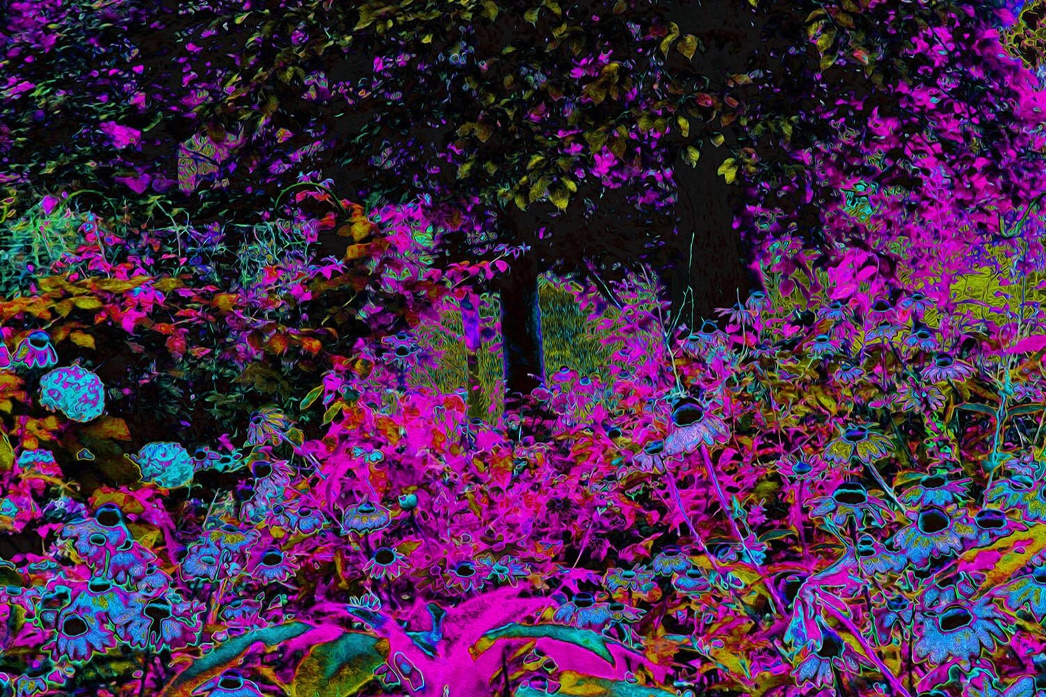 Psychedelic Hot Pink and Black Garden Sunrise