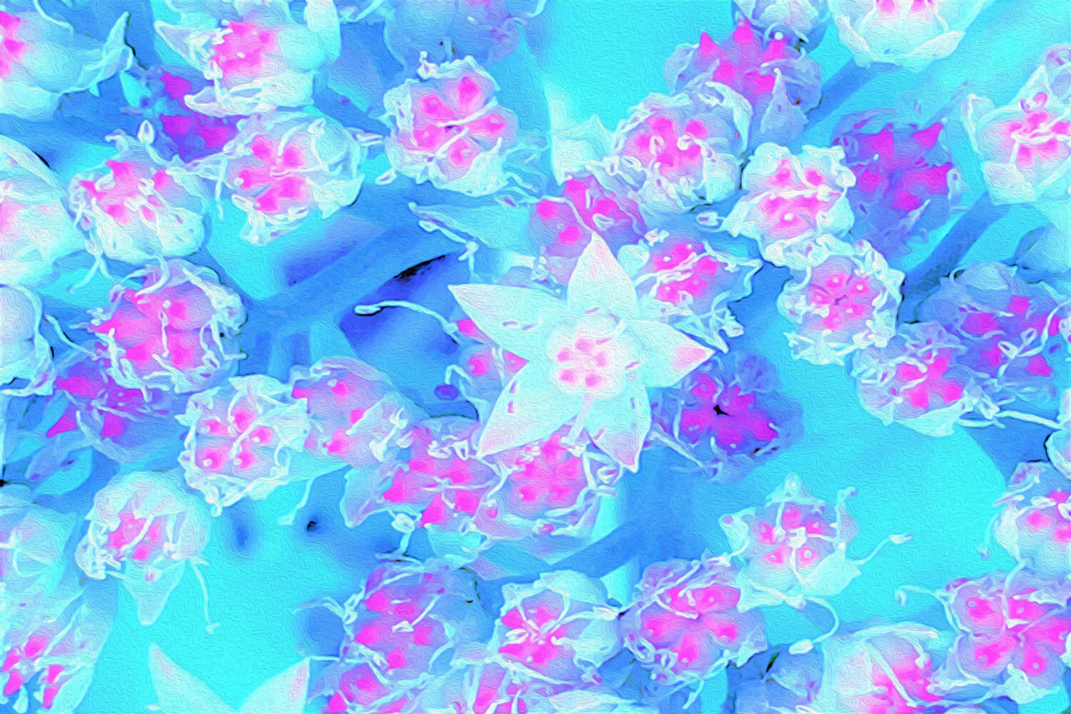 Blue and Hot Pink Succulent Underwater Sedum