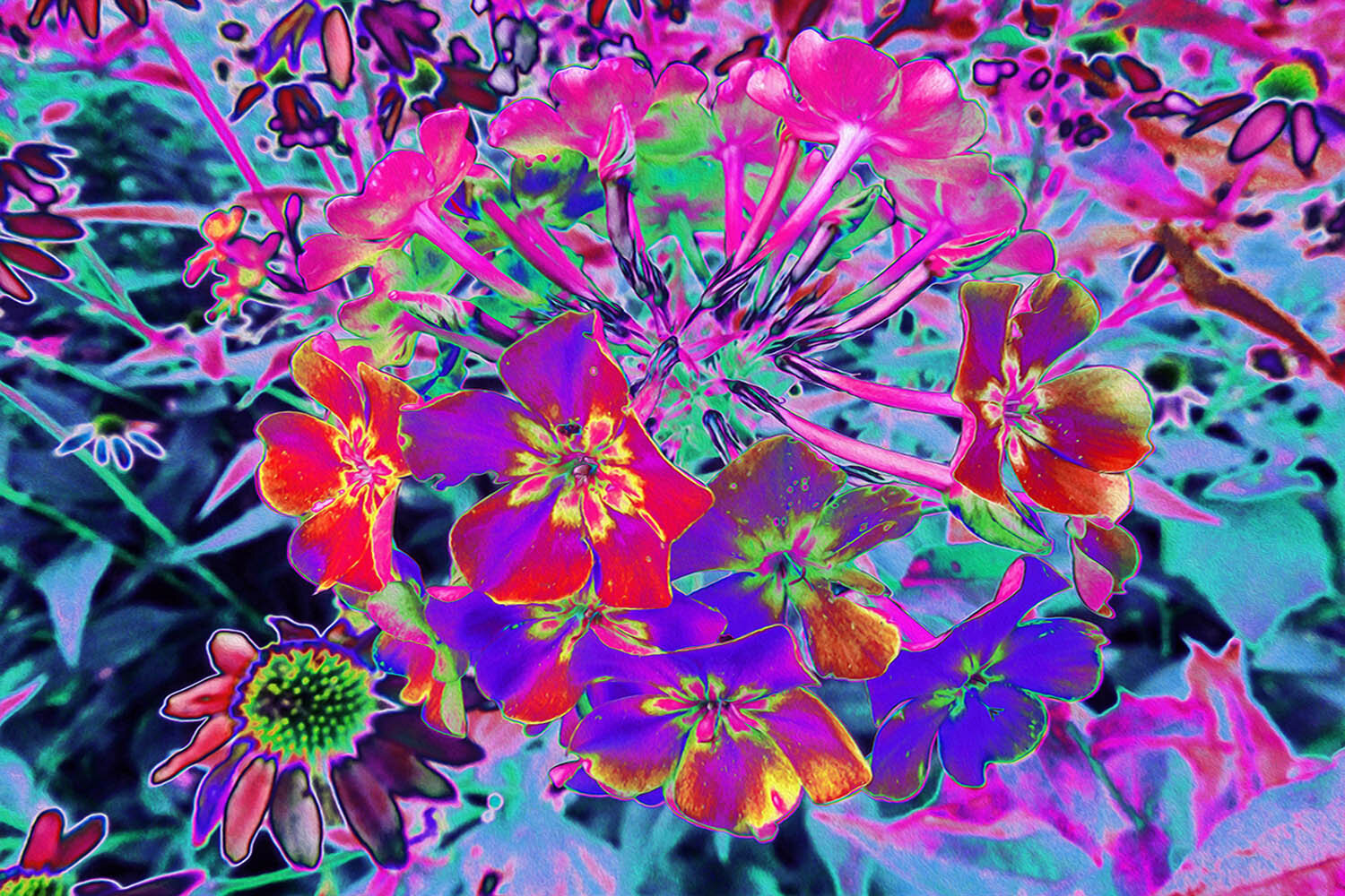 Dramatic Psychedelic Colorful Red and Purple Flowers
