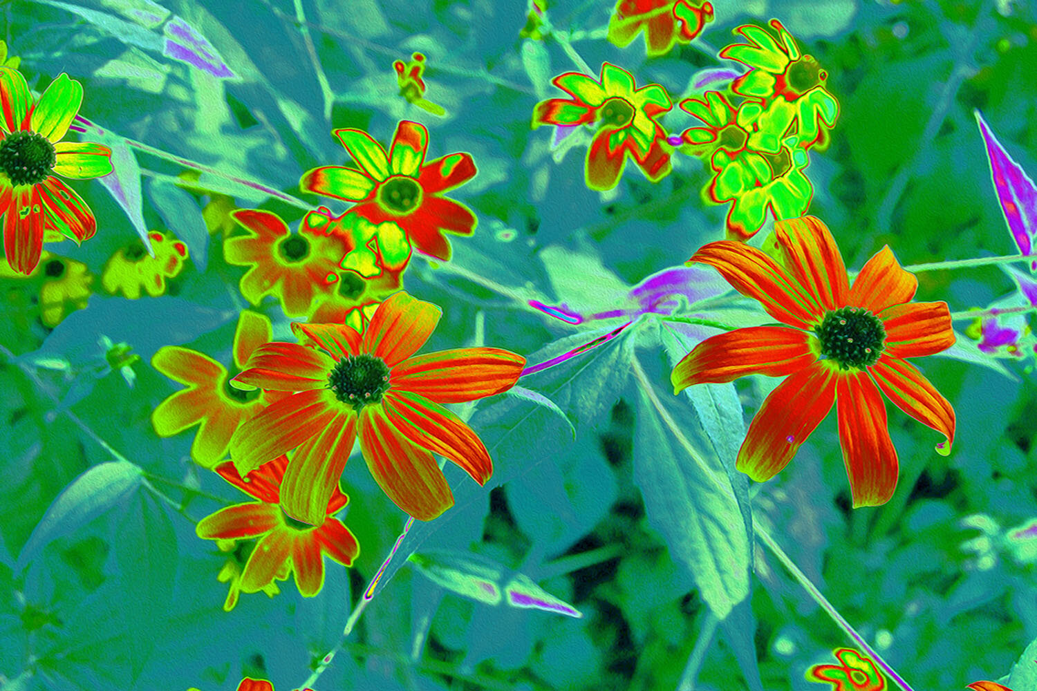 Trippy Yellow and Red Wildflowers on Retro Blue