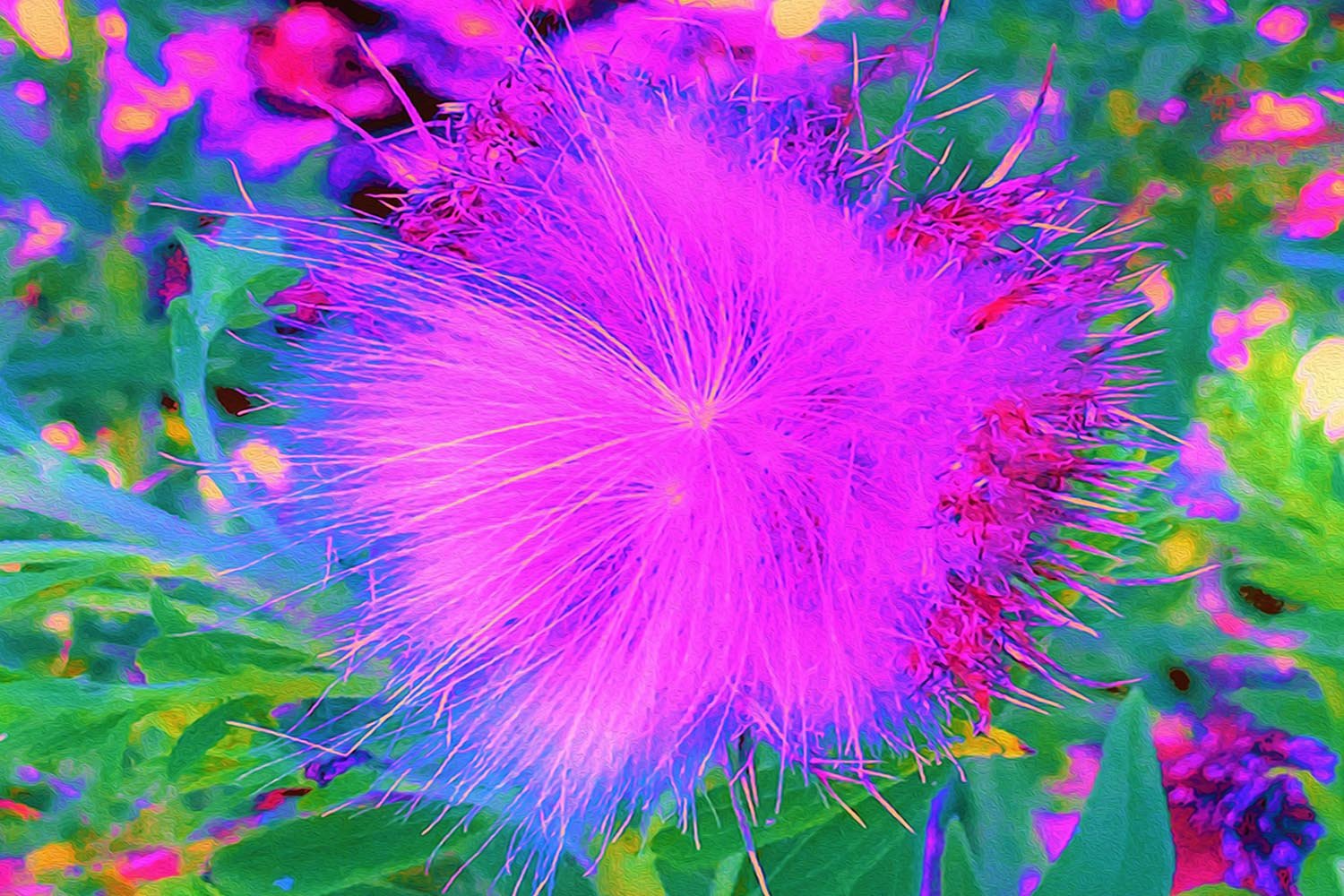 Psychedelic Nature Ultra-Violet Purple Milkweed 