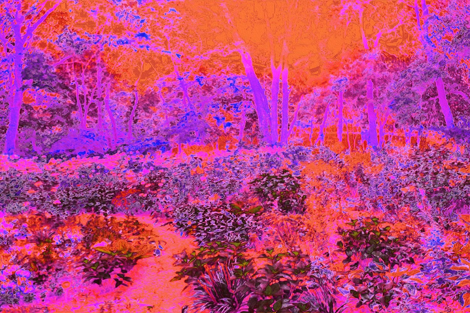 Trippy Magenta and Orange Impressionistic Garden