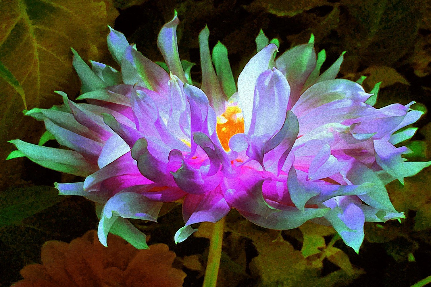 Stunning Magenta and Lime Green Cactus Dahlia
