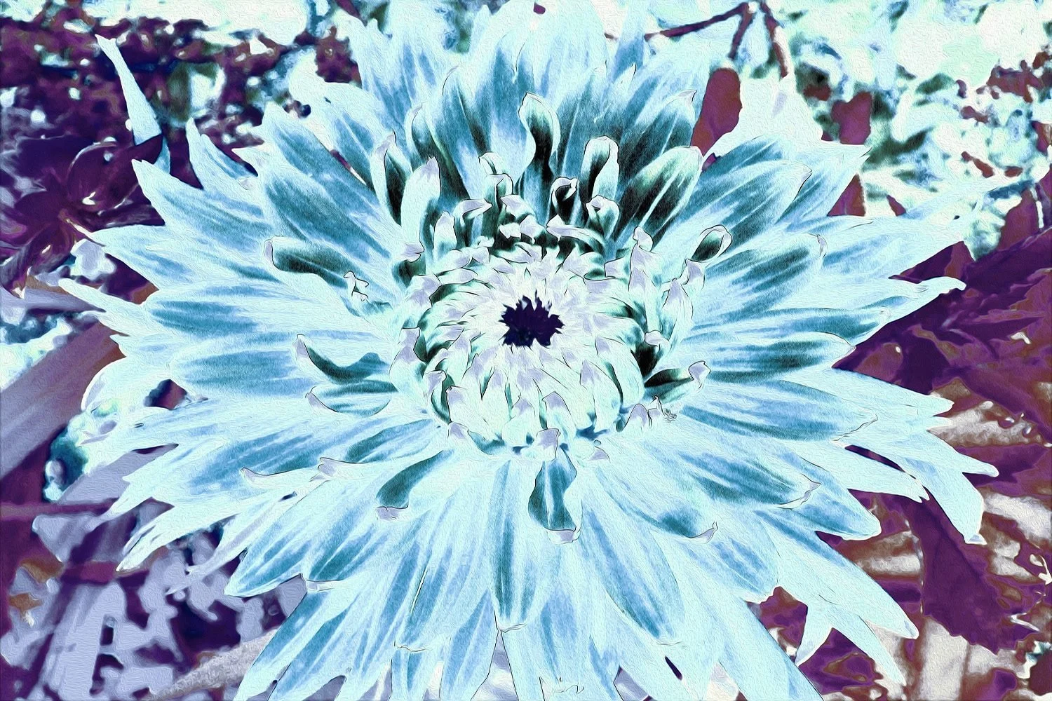 Mint Green and Teal Dahlia Flower