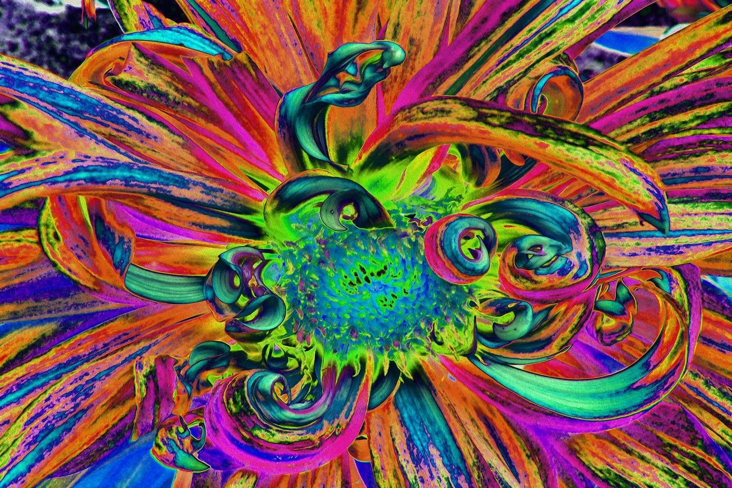 Festive Psychedelic Colorful Dahlia Flower Petals