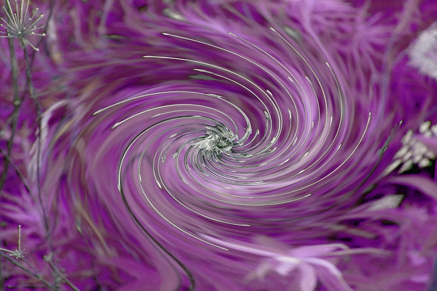 Cool Abstract Purple Floral Swirl