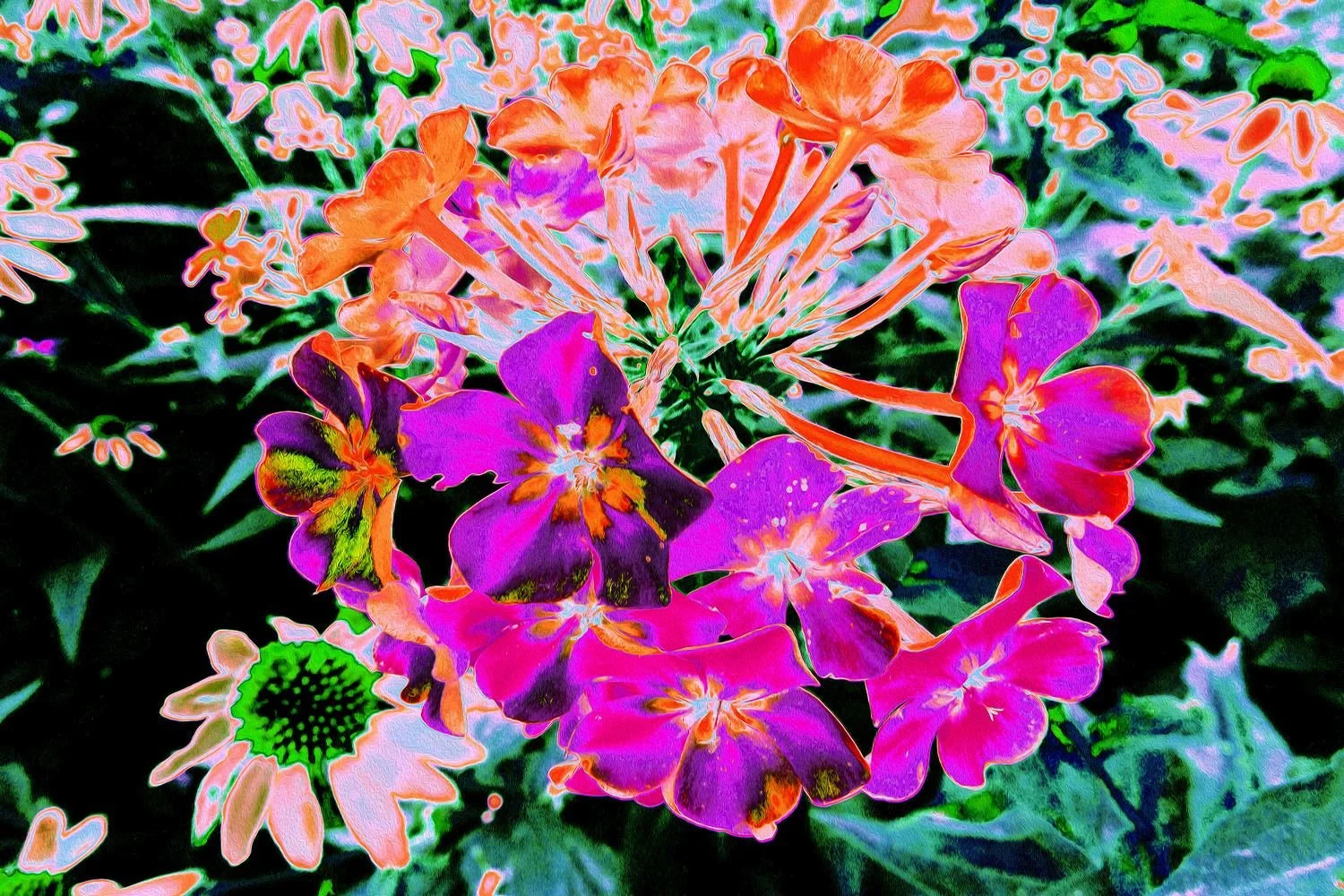 Blooming Abstract Magenta and Orange Flower