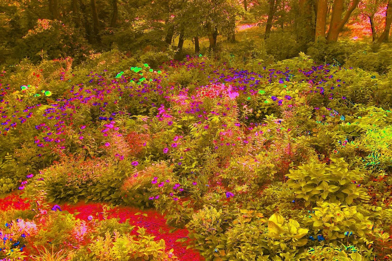 Cool Golden Panoramic Garden Flowers View
