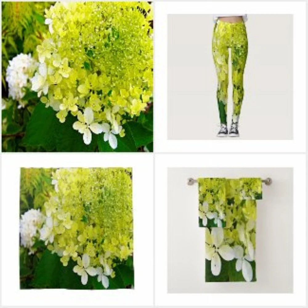 Elegant Chartreuse Green Limelight Hydrangea