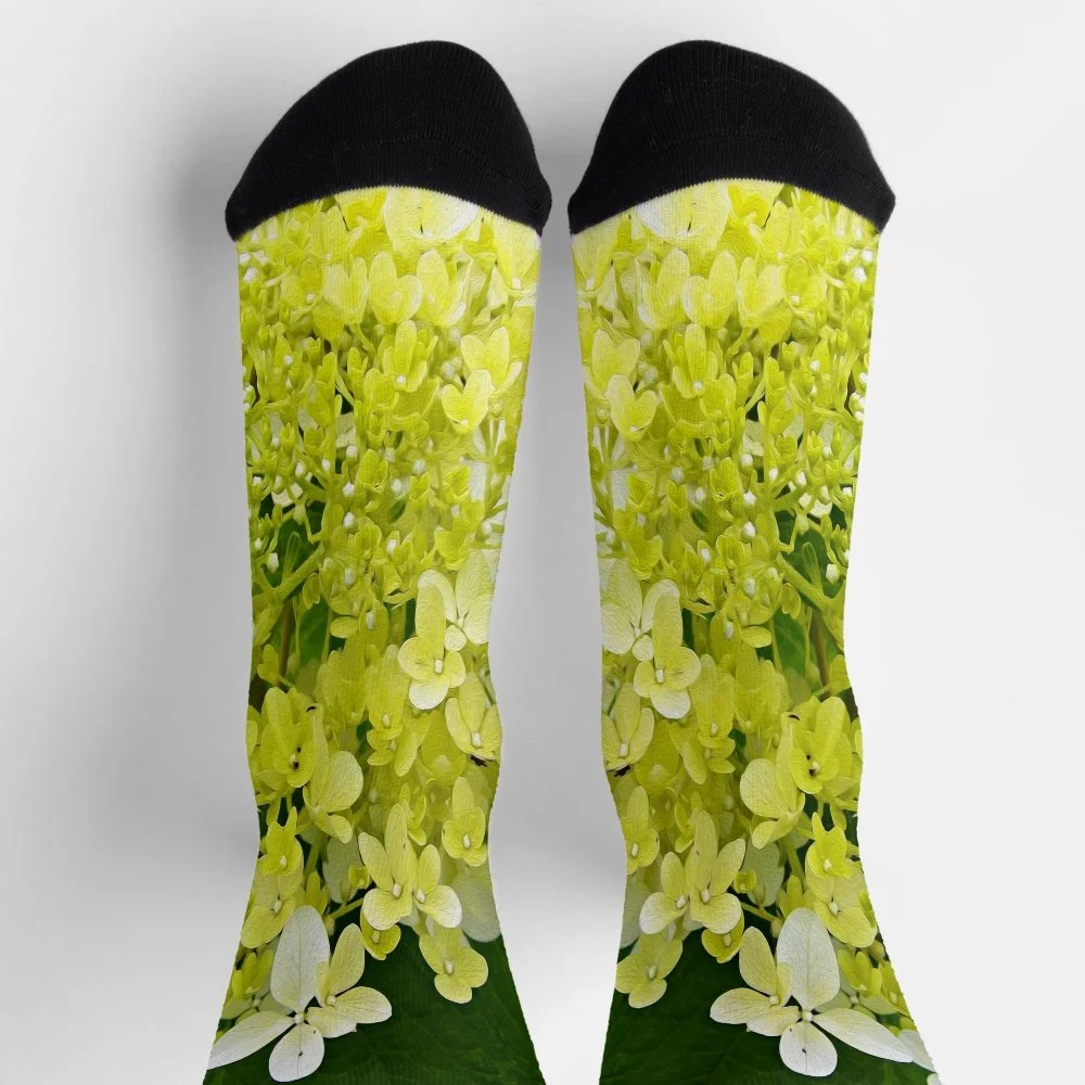 Elegant Chartreuse Green Limelight Hydrangea Socks