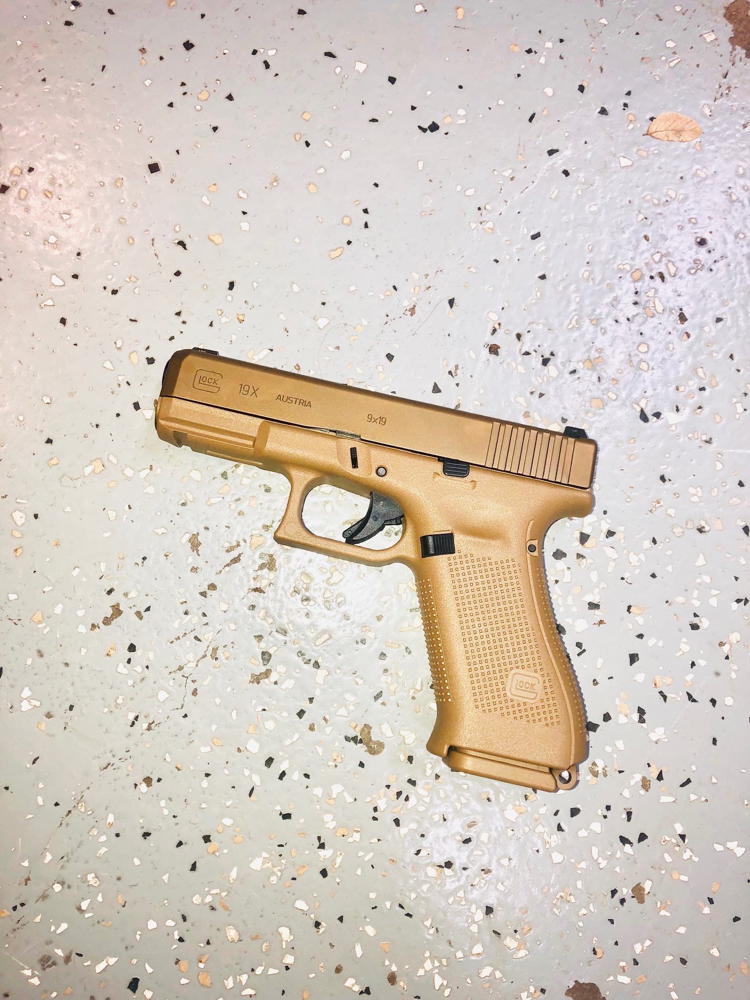 Glock19X.jpg