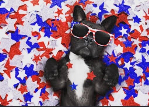 @bostonharborfest is hosting a #poochparade Get creative with your four legged friend and win big!! The Annual Patriotic Pooch Parade will be held in Downtown Crossing on July 3rd, starts at Noon! Registration (free) link in Bio! Don&rsquo;t forget t