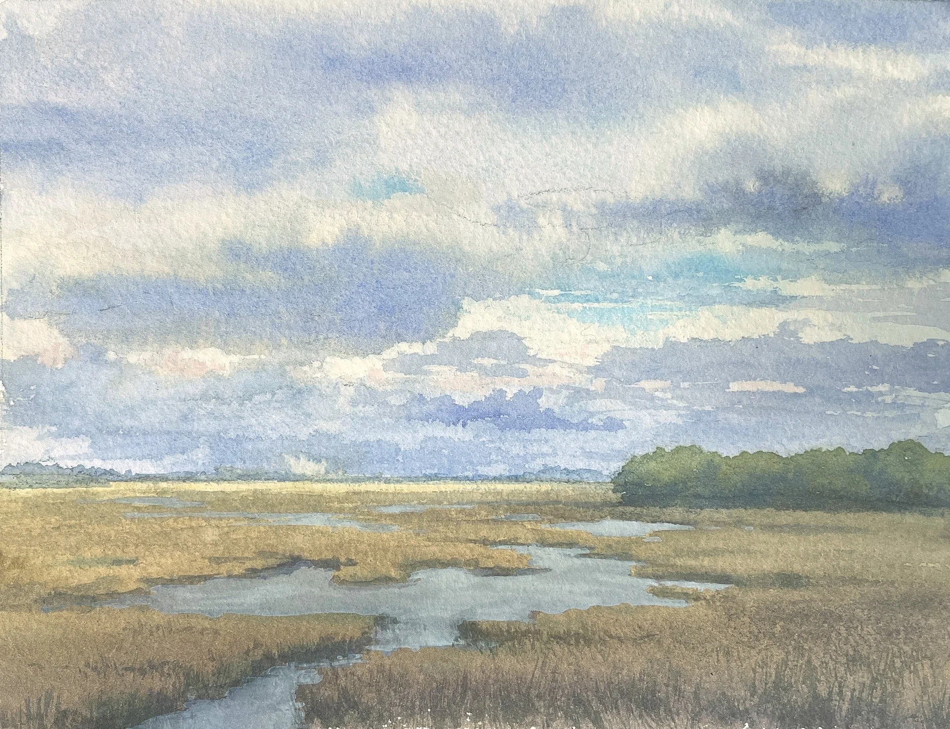Clouds and Marsh Study_6x8_sml.jpeg