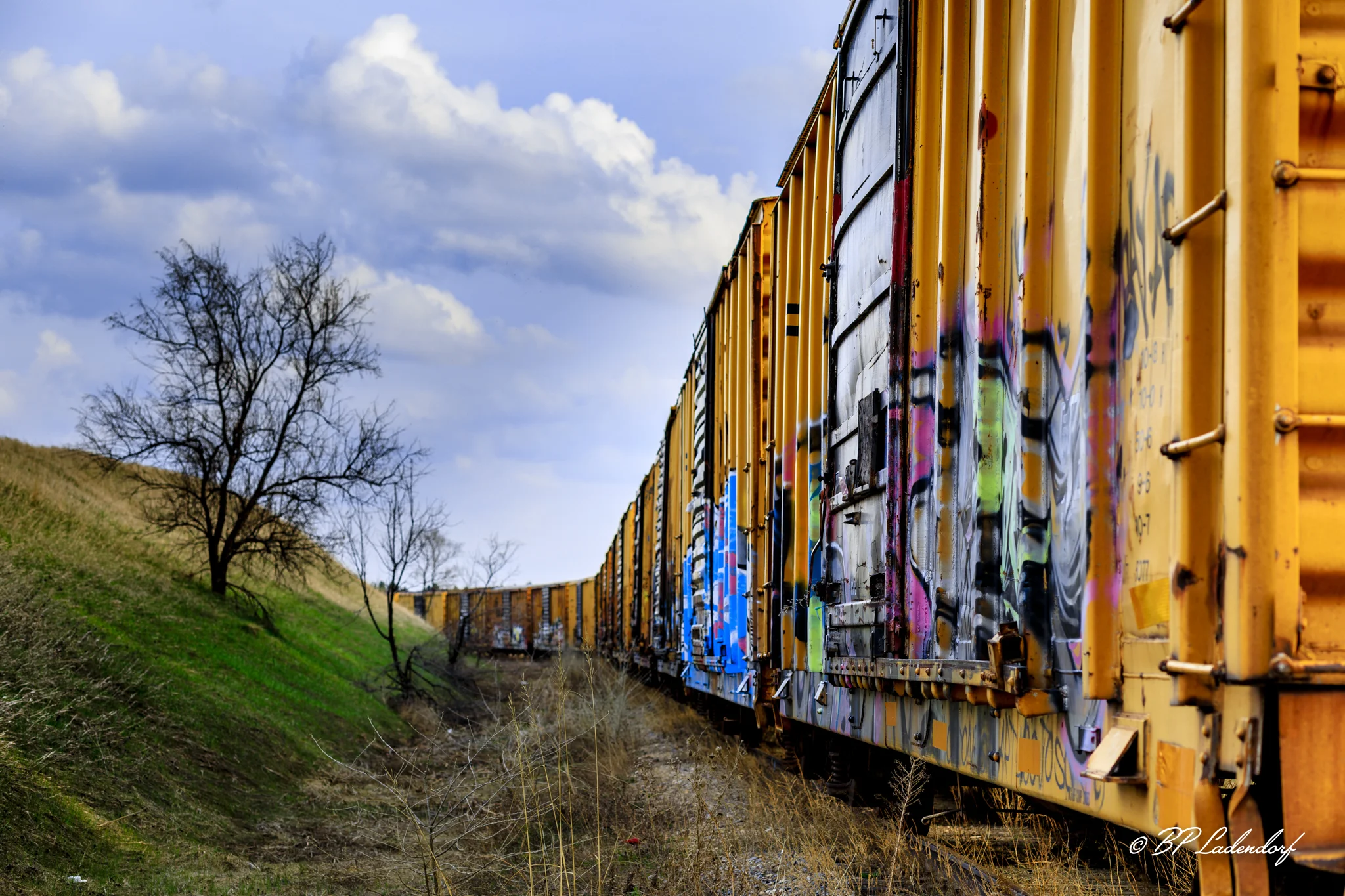 EG2A854301 Print.jpg