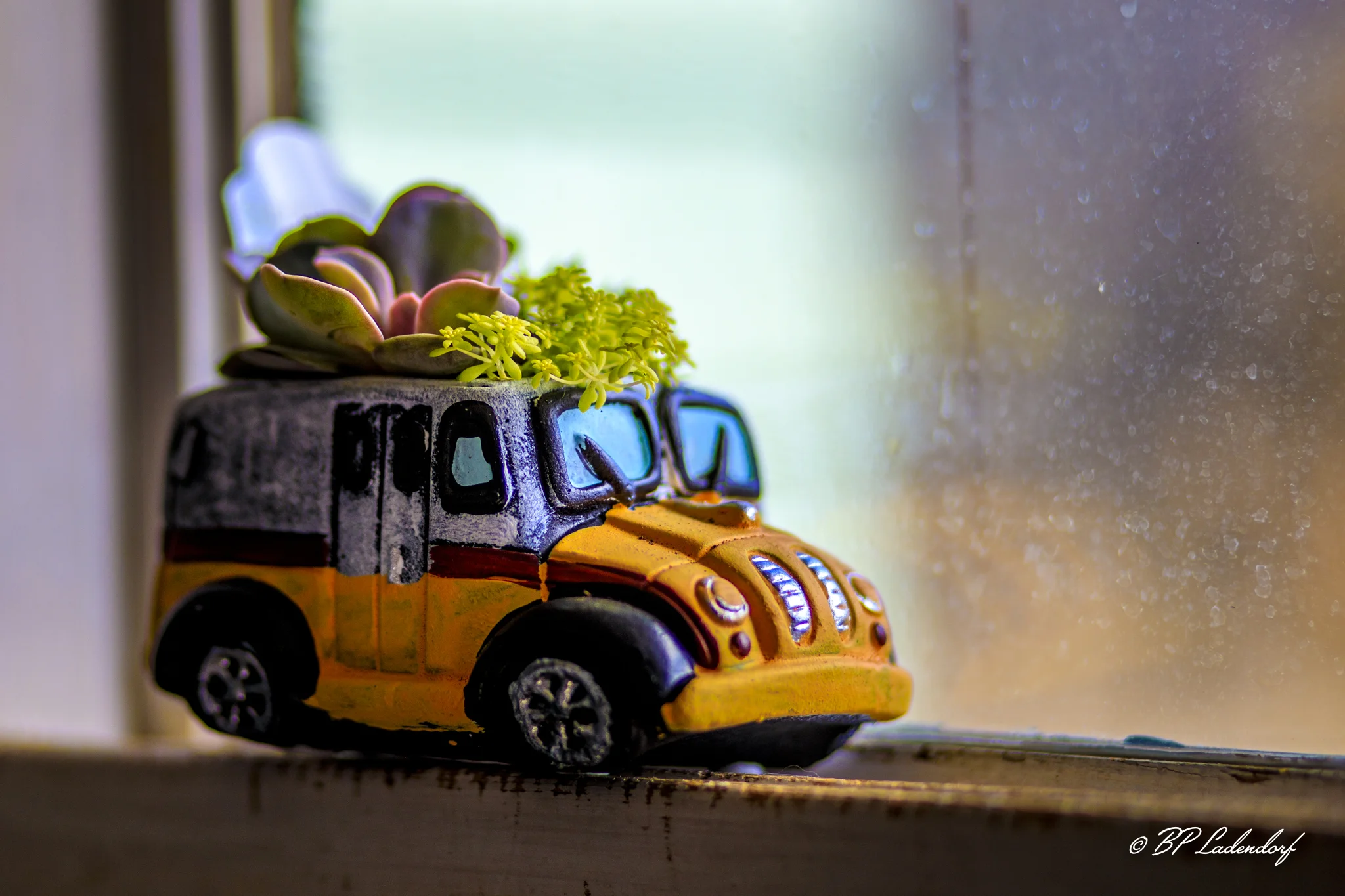 Lego & Cats March 30, 2019_01 Print.jpg