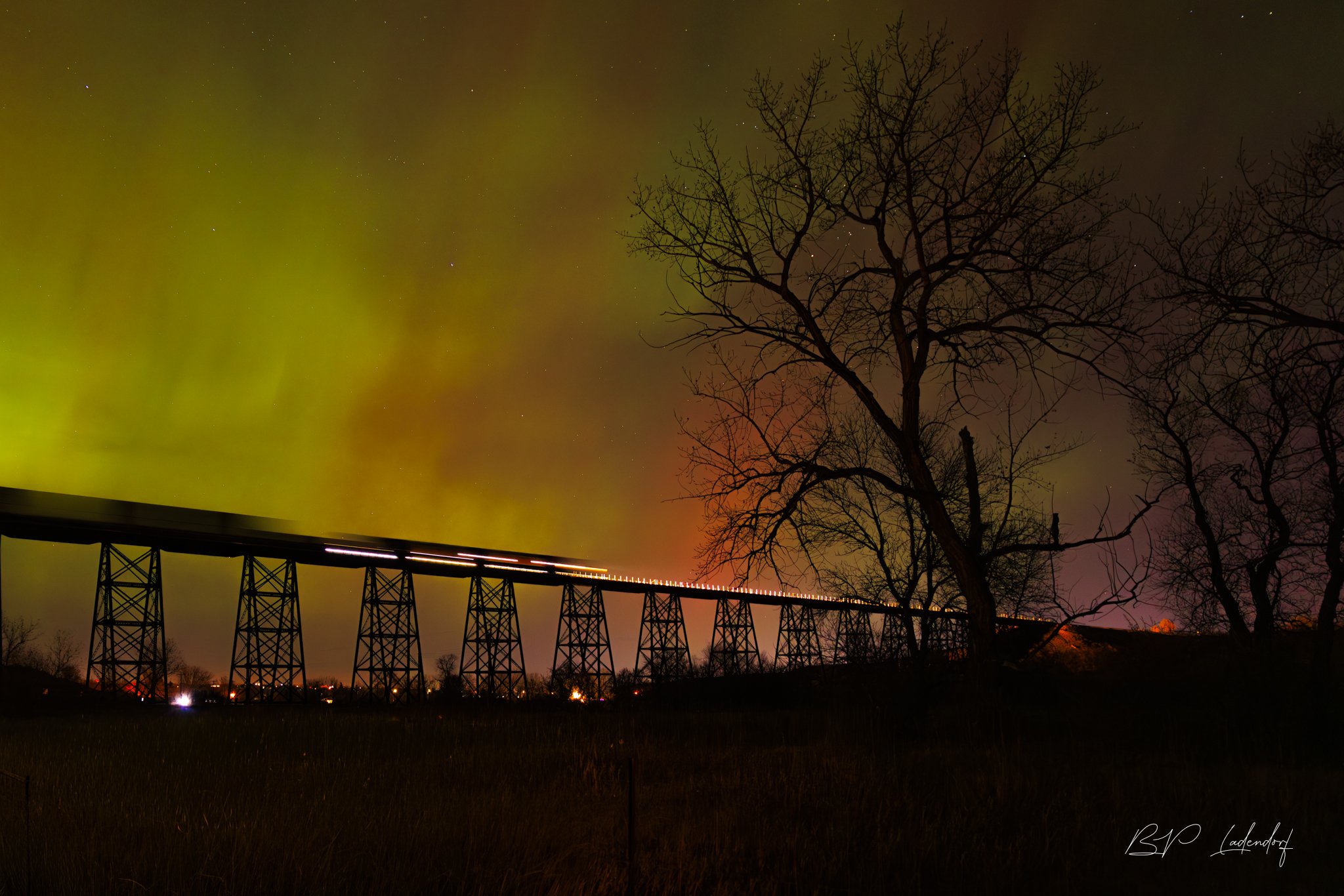 Northern Lights HCMD  November 12, 2025-1101 Print.jpg