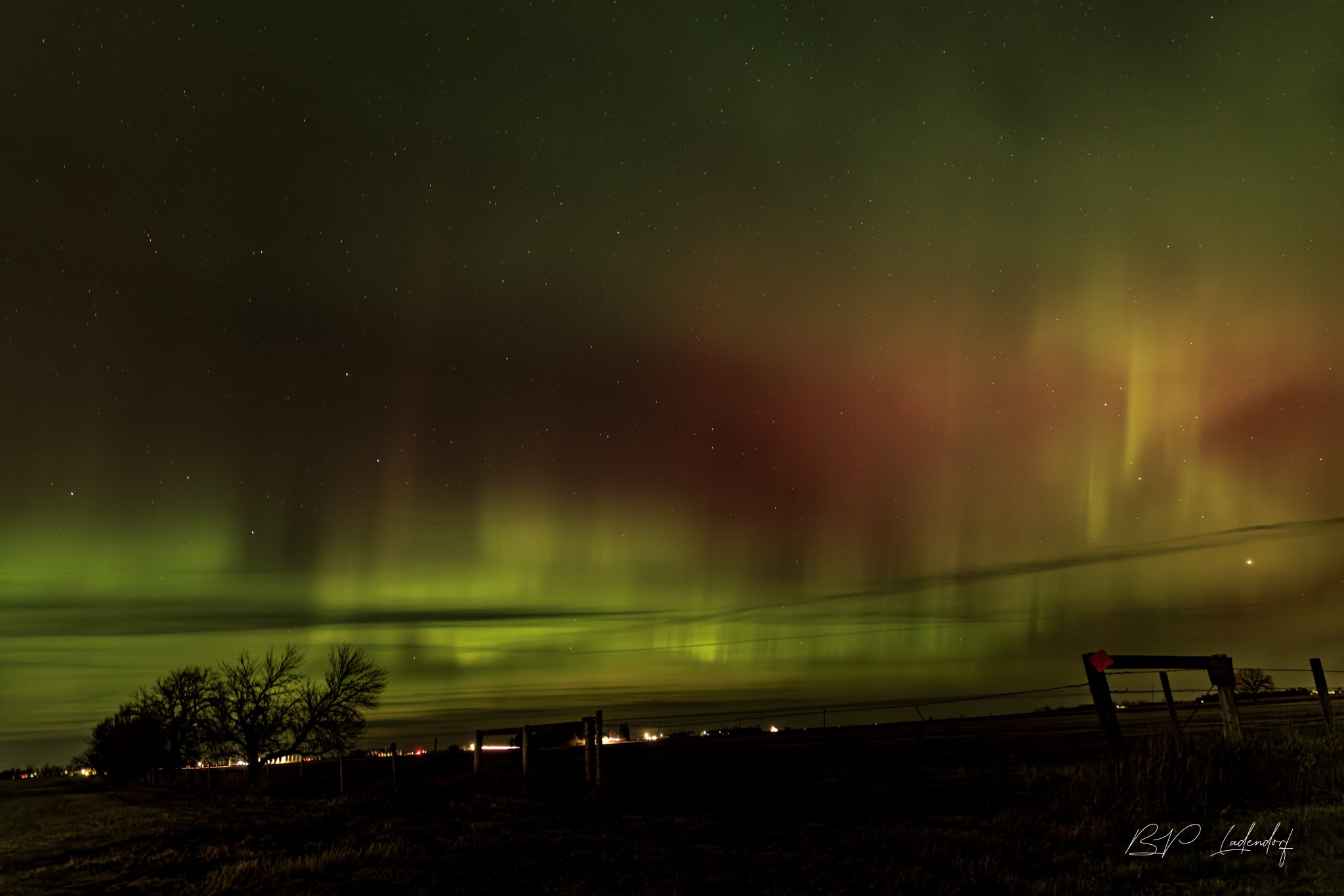 Northern Lights HCMD  November 12, 2025-5001 Print.jpg