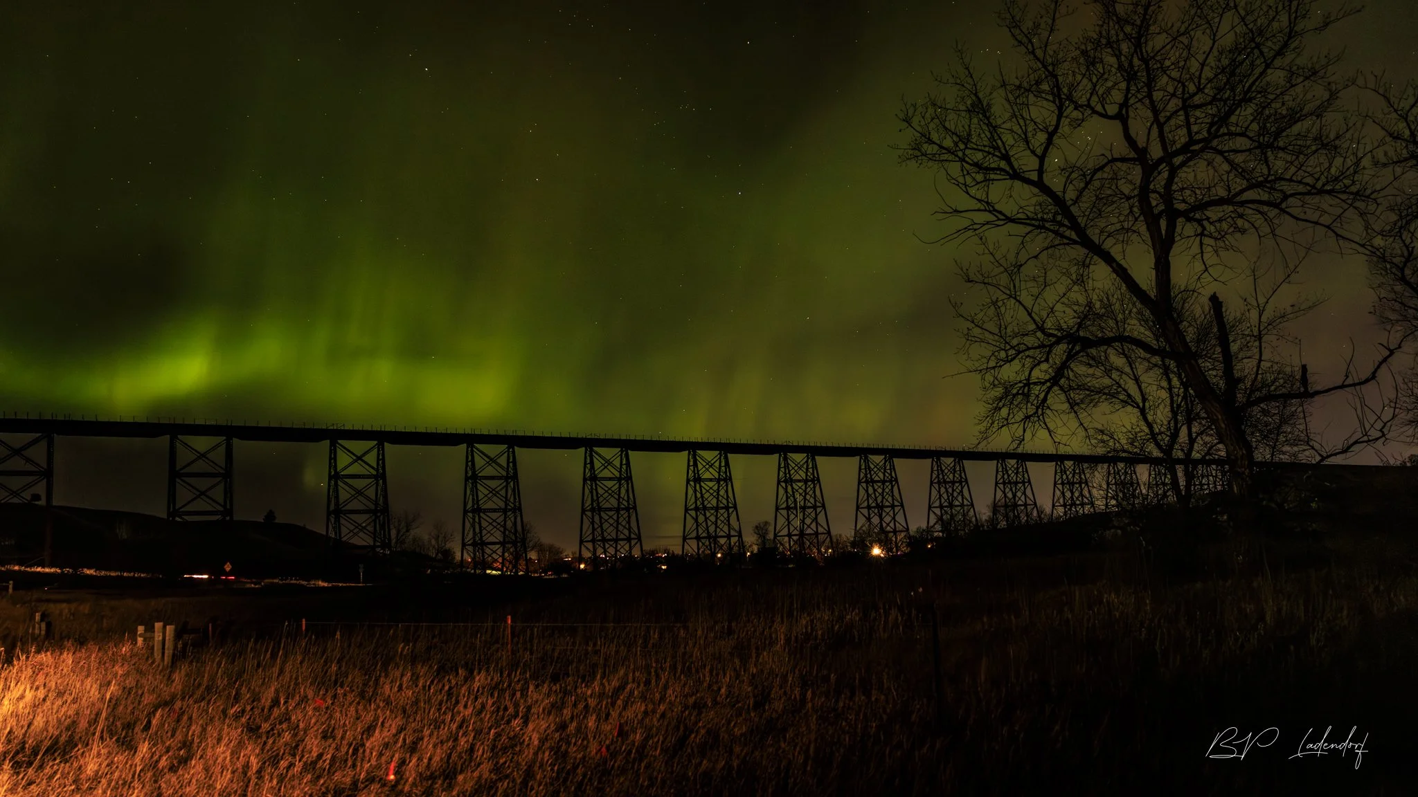 Northern Lights HCMD  November 12, 2025-101 Print.jpg