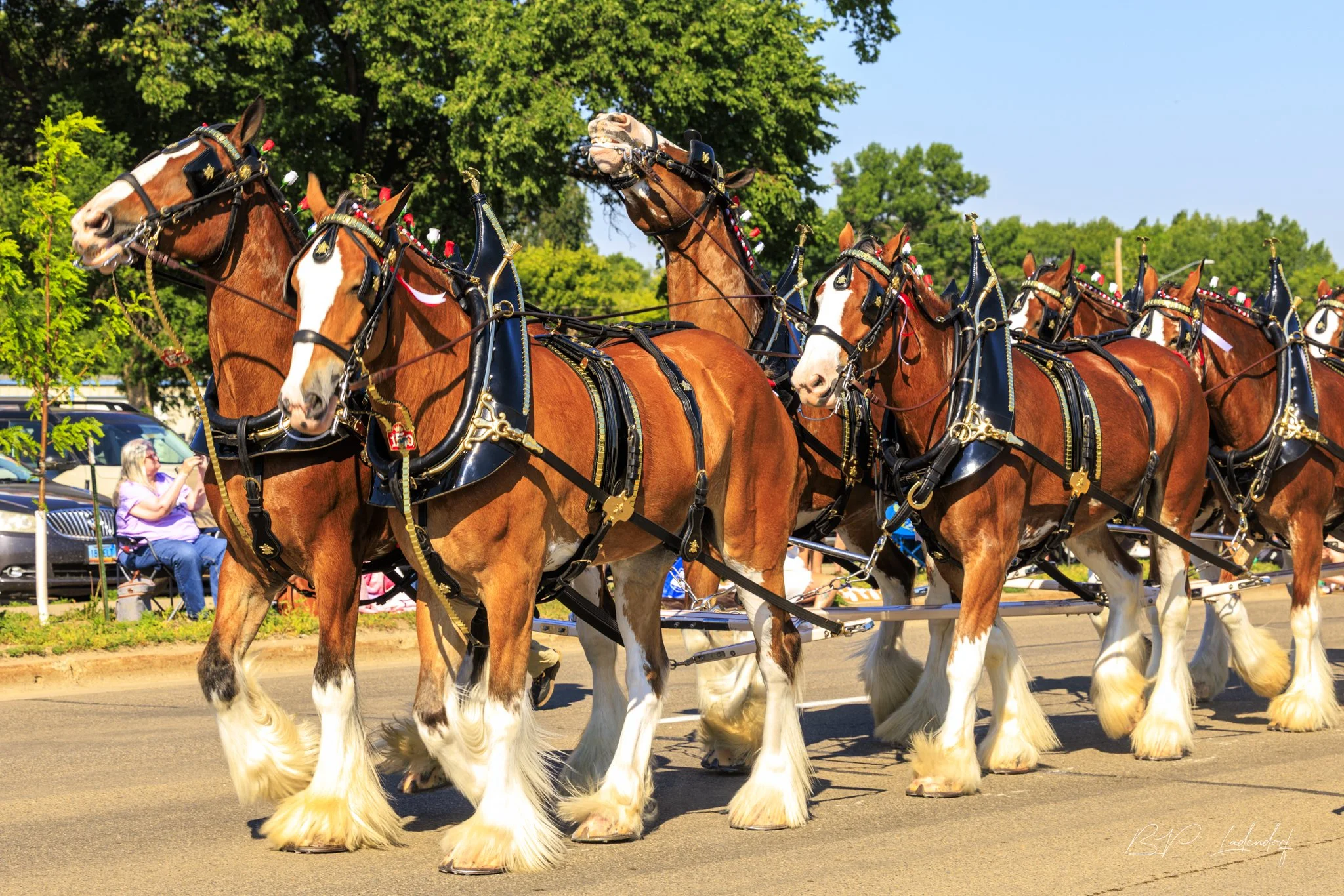 NDSF 2026 July 17, 2026-18401 Print.jpg
