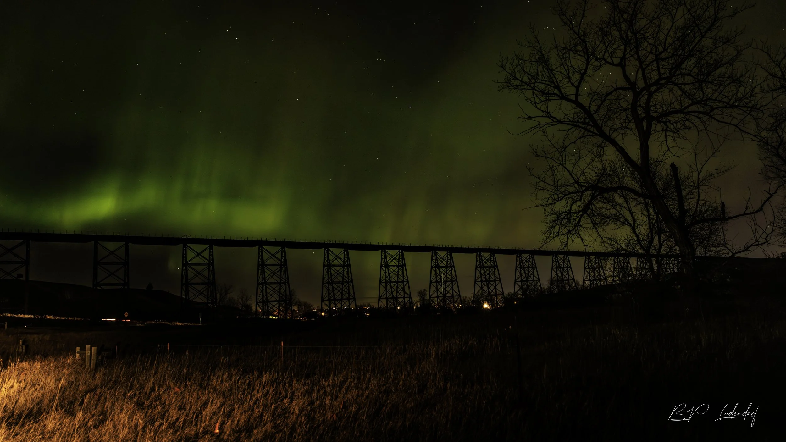 Northern Lights HCMD  November 12, 2025-101.jpg