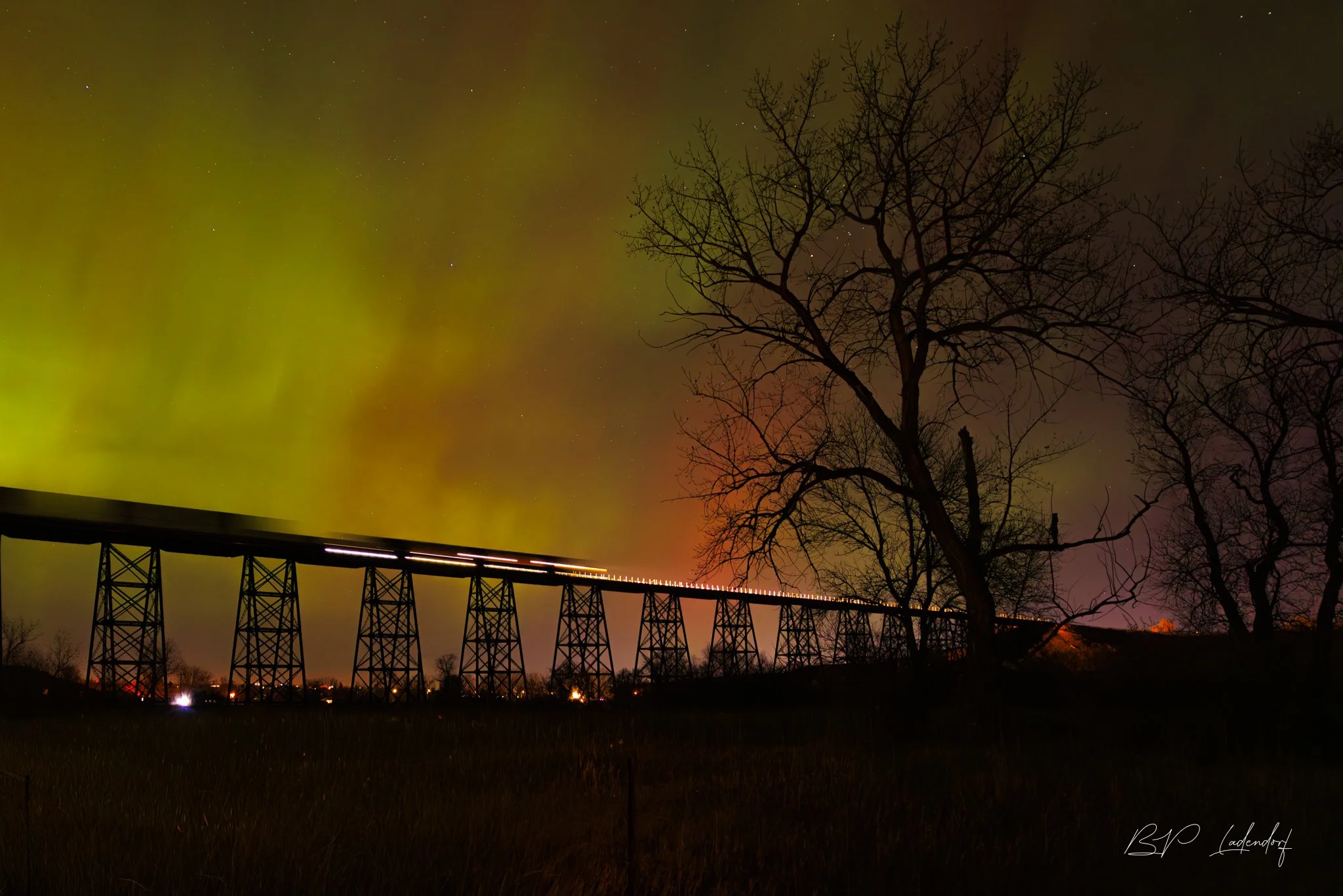 Northern Lights HCMD  November 12, 2025-1101 Print.jpg
