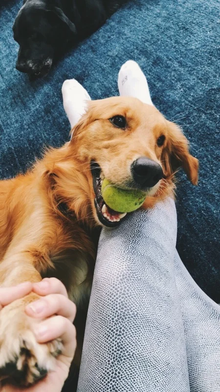 vsco59d926c874c15.jpg