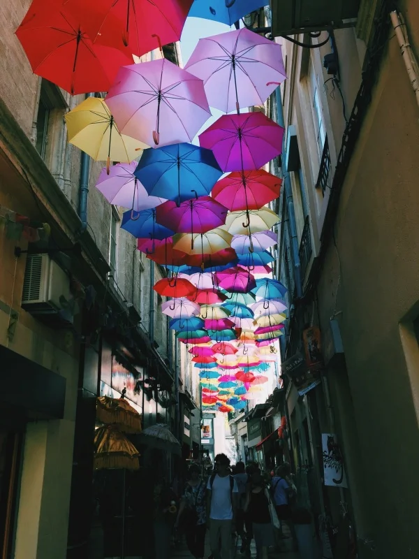 vsco_081216.jpg